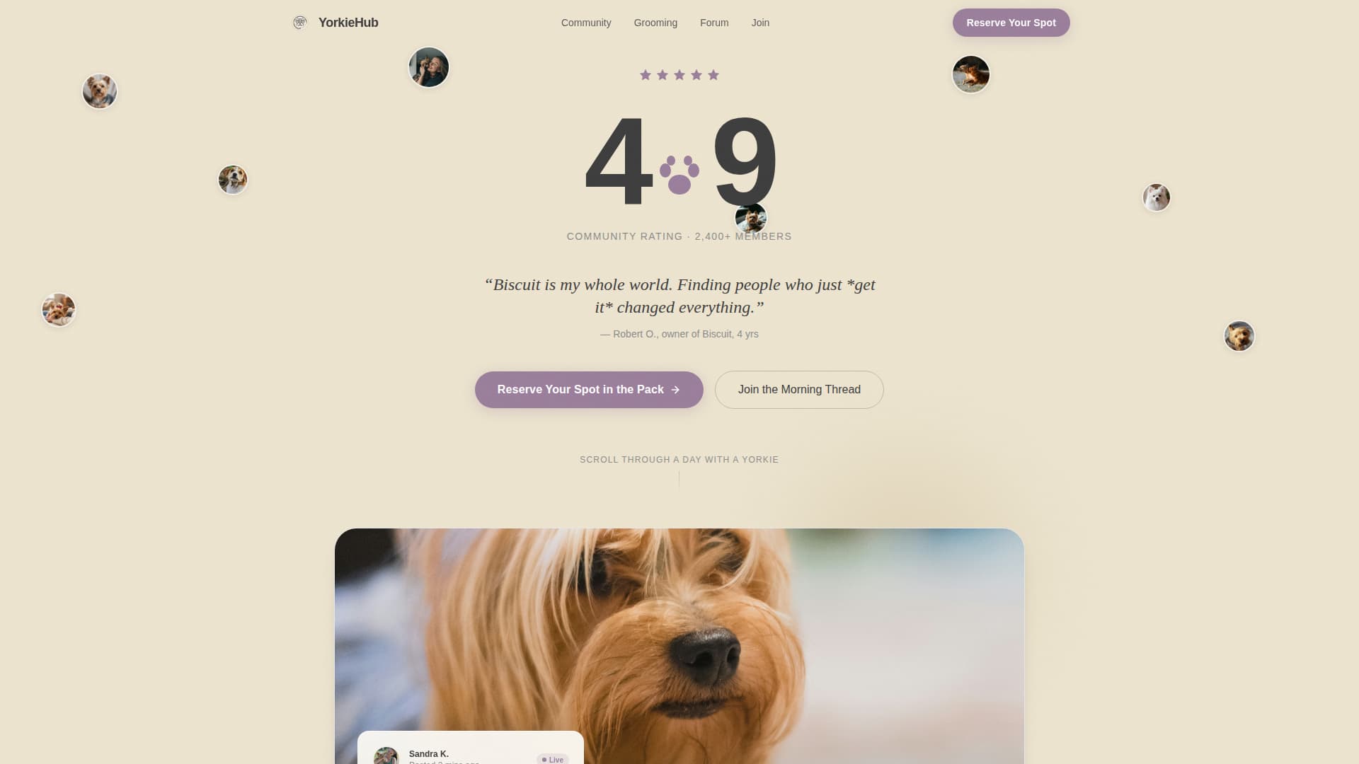 Yorkiehub - Heartwarming Community Landing Page Template