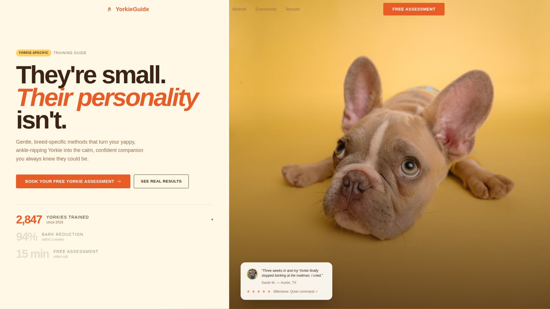 Yorkie - Breedspecific Training Landing Page Template