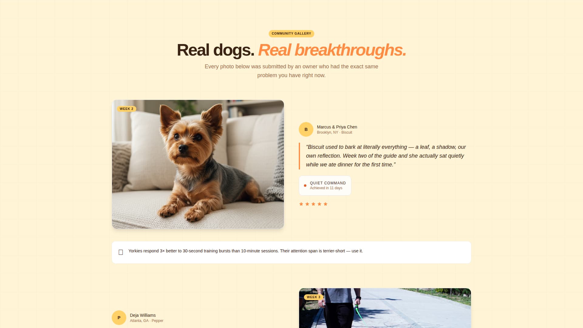 Yorkie - Breedspecific Training Landing Page Template