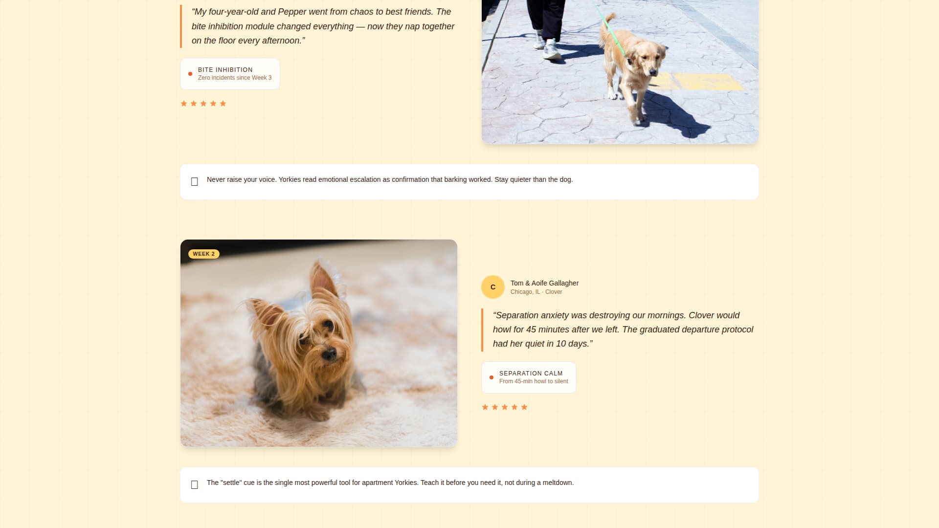Yorkie - Breedspecific Training Landing Page Template
