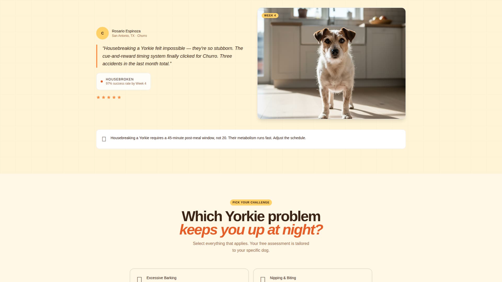 Yorkie - Breedspecific Training Landing Page Template