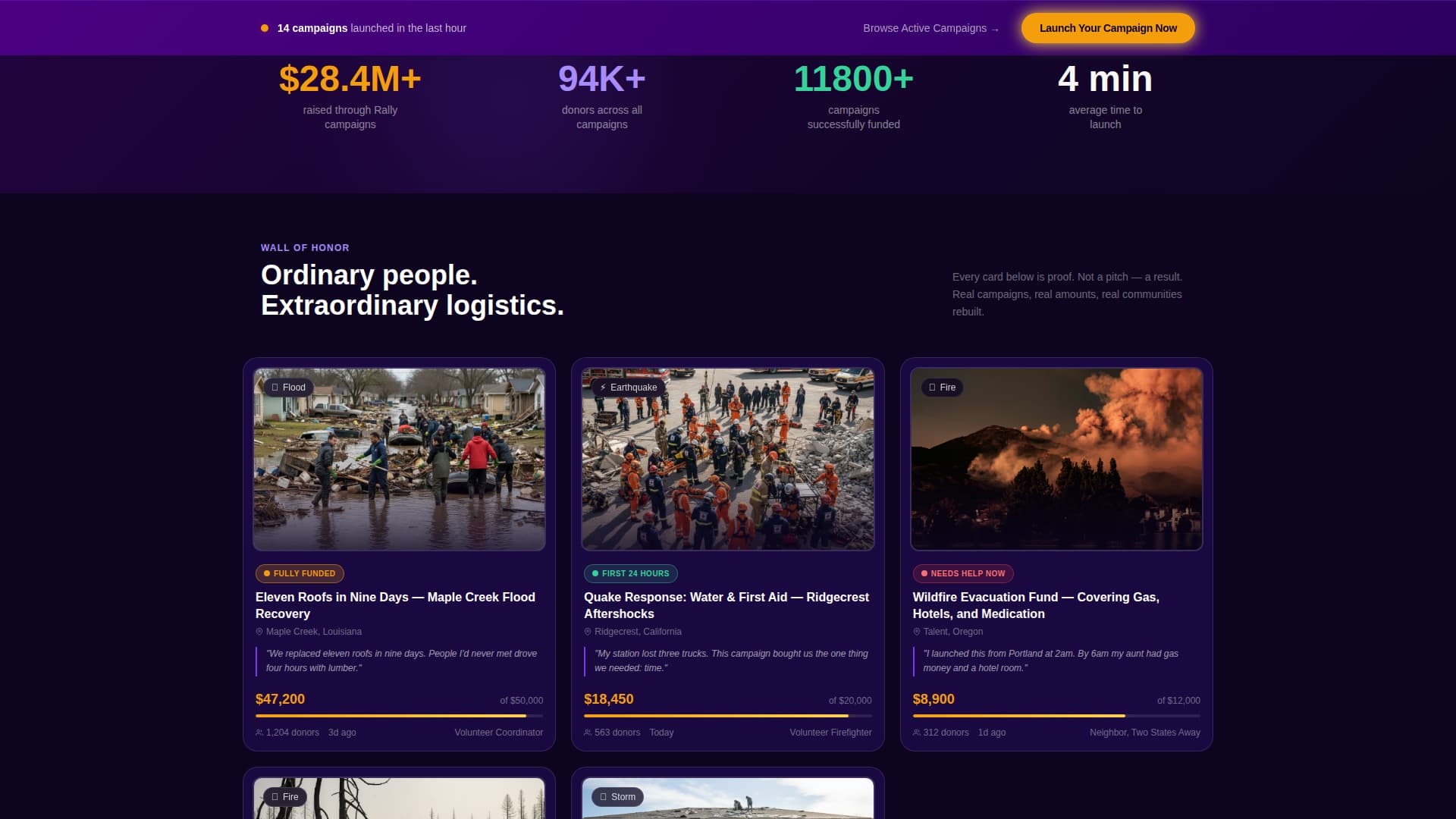 Charity & Fundraiser Profile Professional Website Template