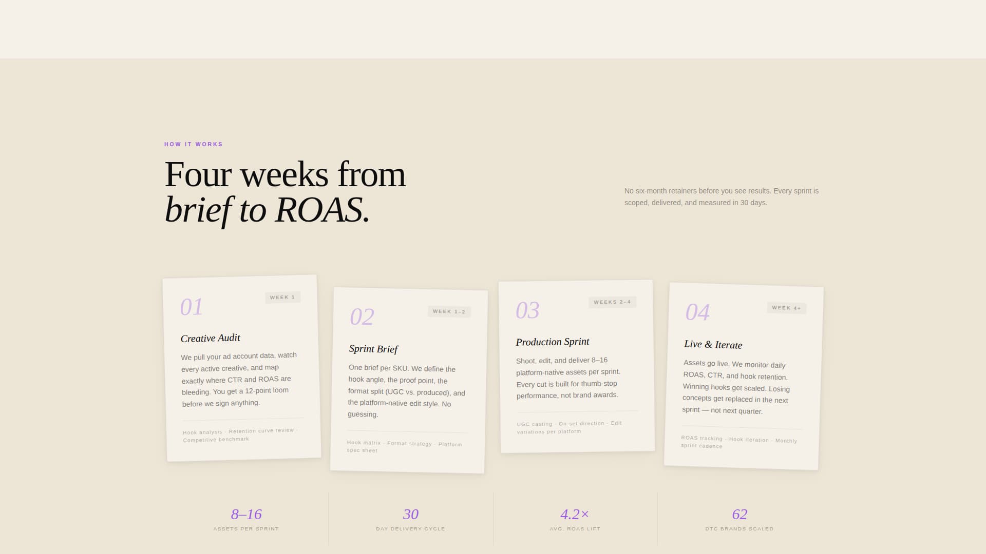 E-Commerce Marketing & Agency Specialist Portfolio Website Template