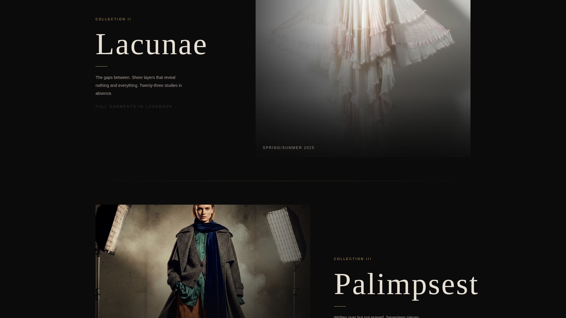 Fashion Designer Portfolio Professional Website Template