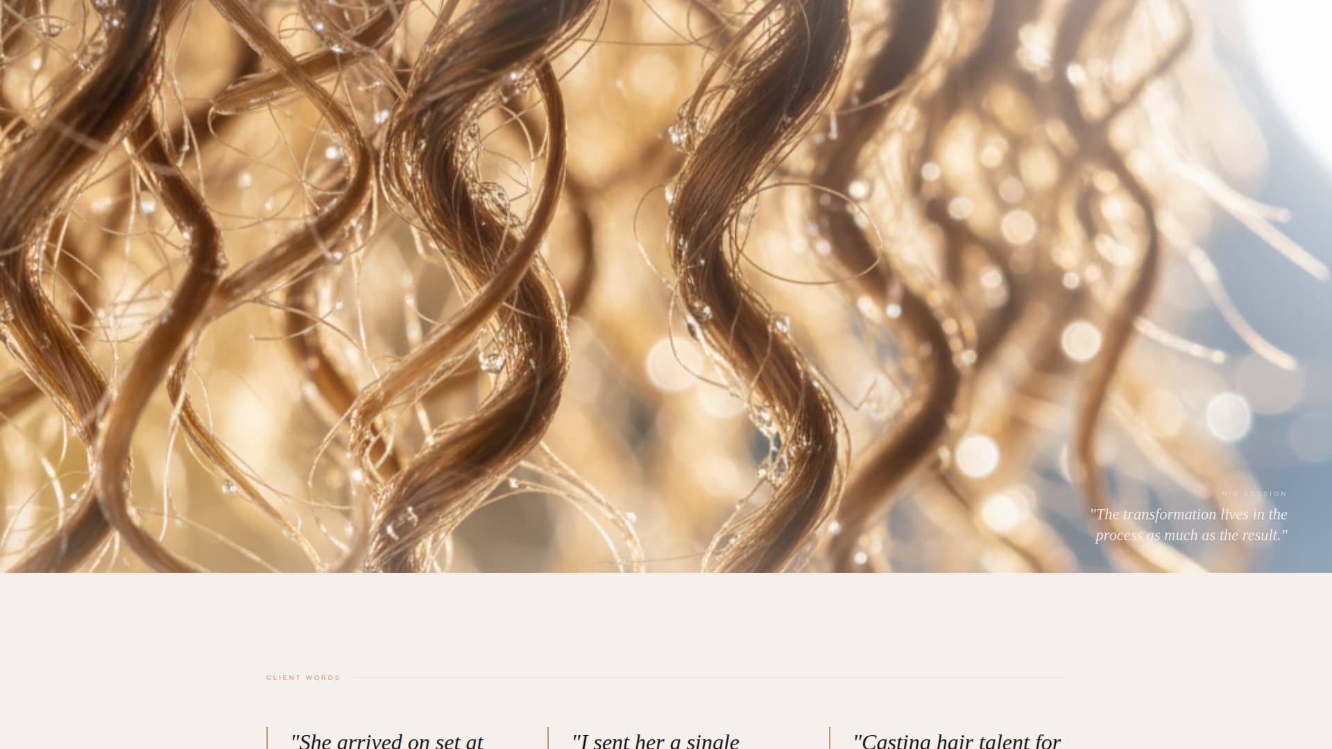 Shears - Transformative Stylist Landing Page Template