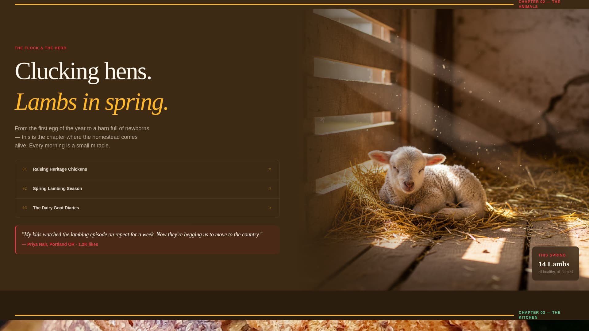 Homestead - Cinematic Farmvlog Landing Page Template