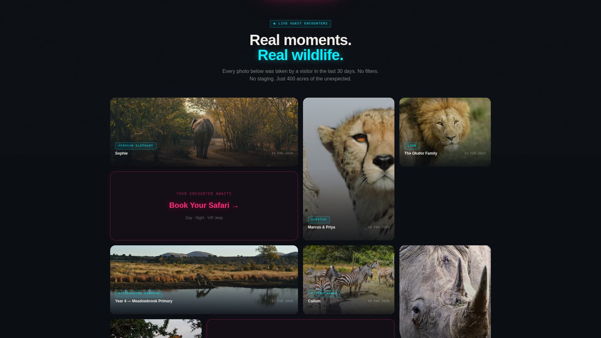 Savanna - Electric Safari Landing Page Template