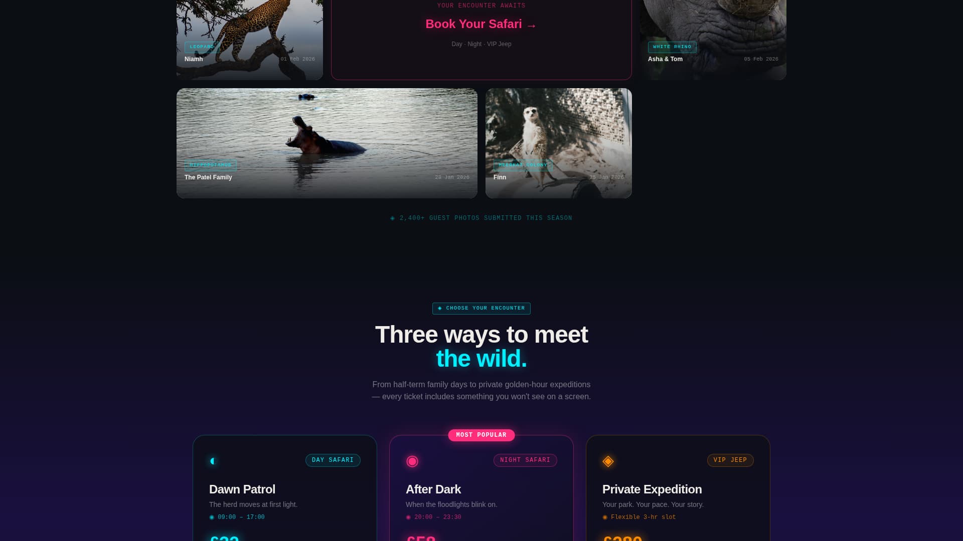 Savanna - Electric Safari Landing Page Template