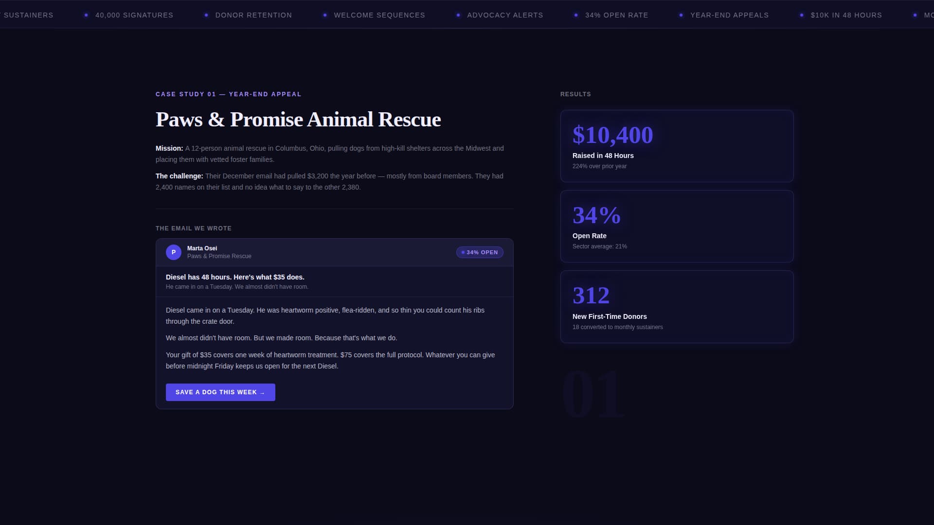 Nonprofit Marketing & Agency Portfolio Website Template