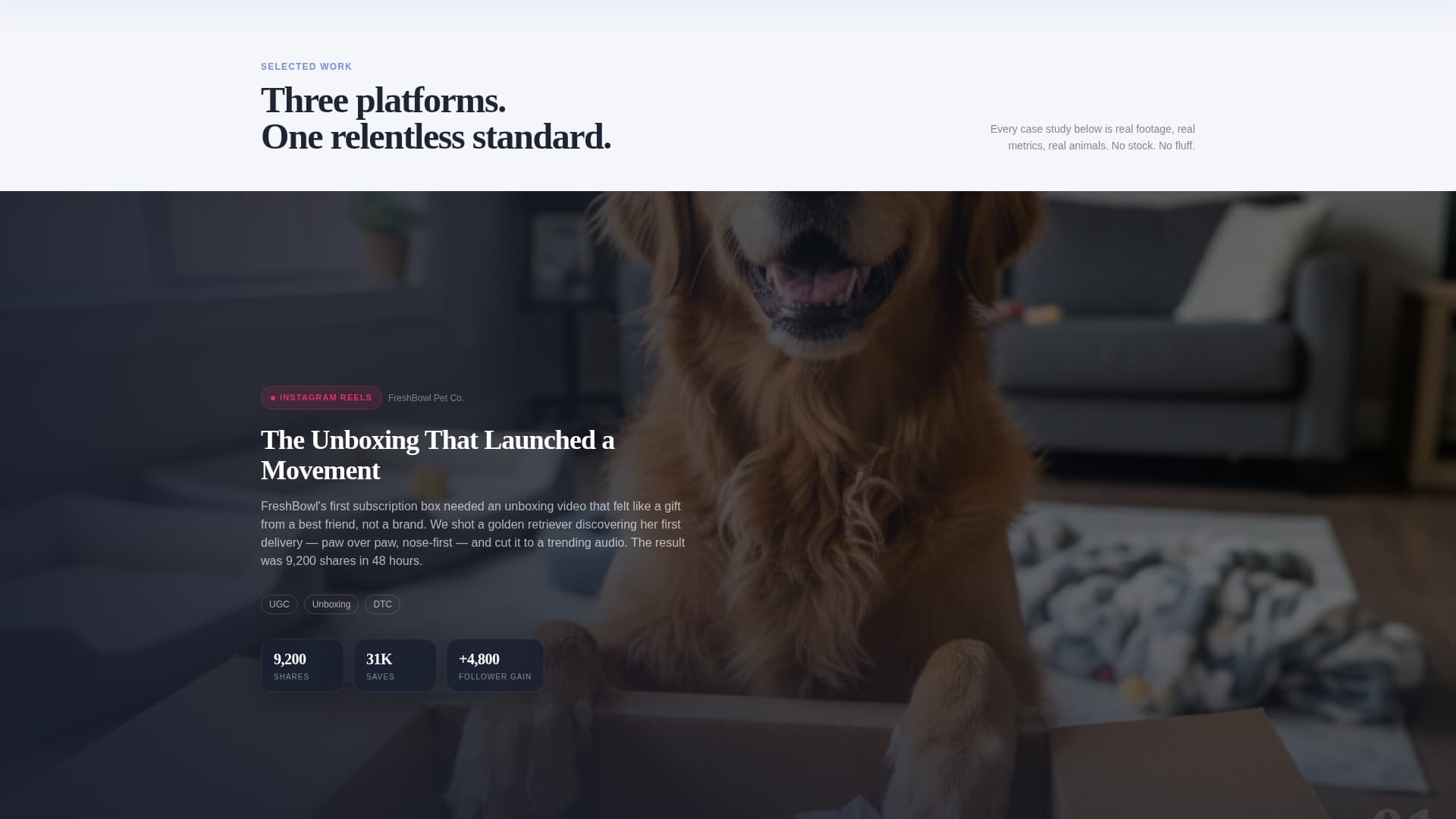 Pawframe - Scrollstopping Petbrand Landing Page Template