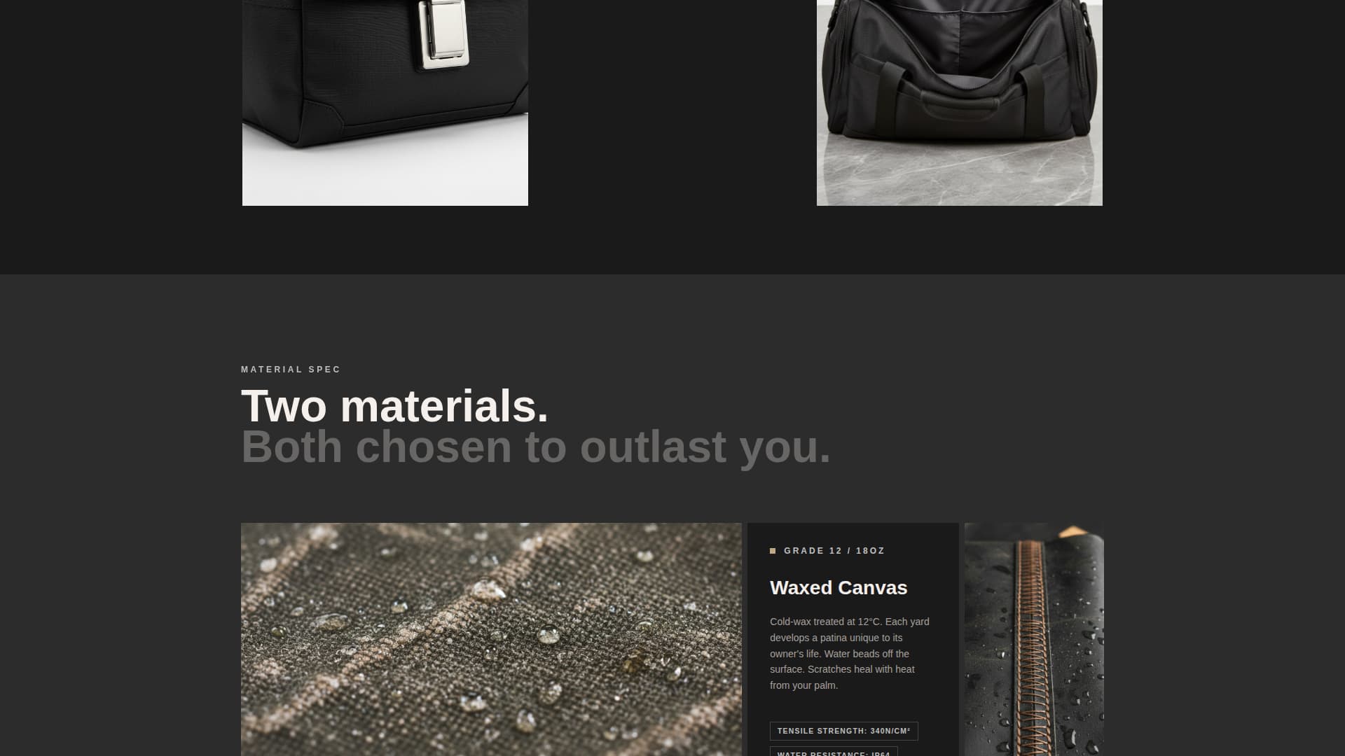Carry - Brutalist Bag Landing Page Template