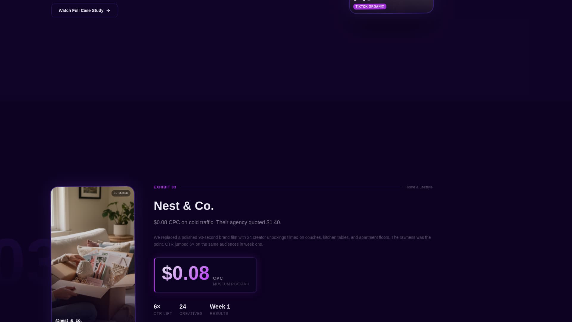 Social Media & Influencer Agency Portfolio Website Template