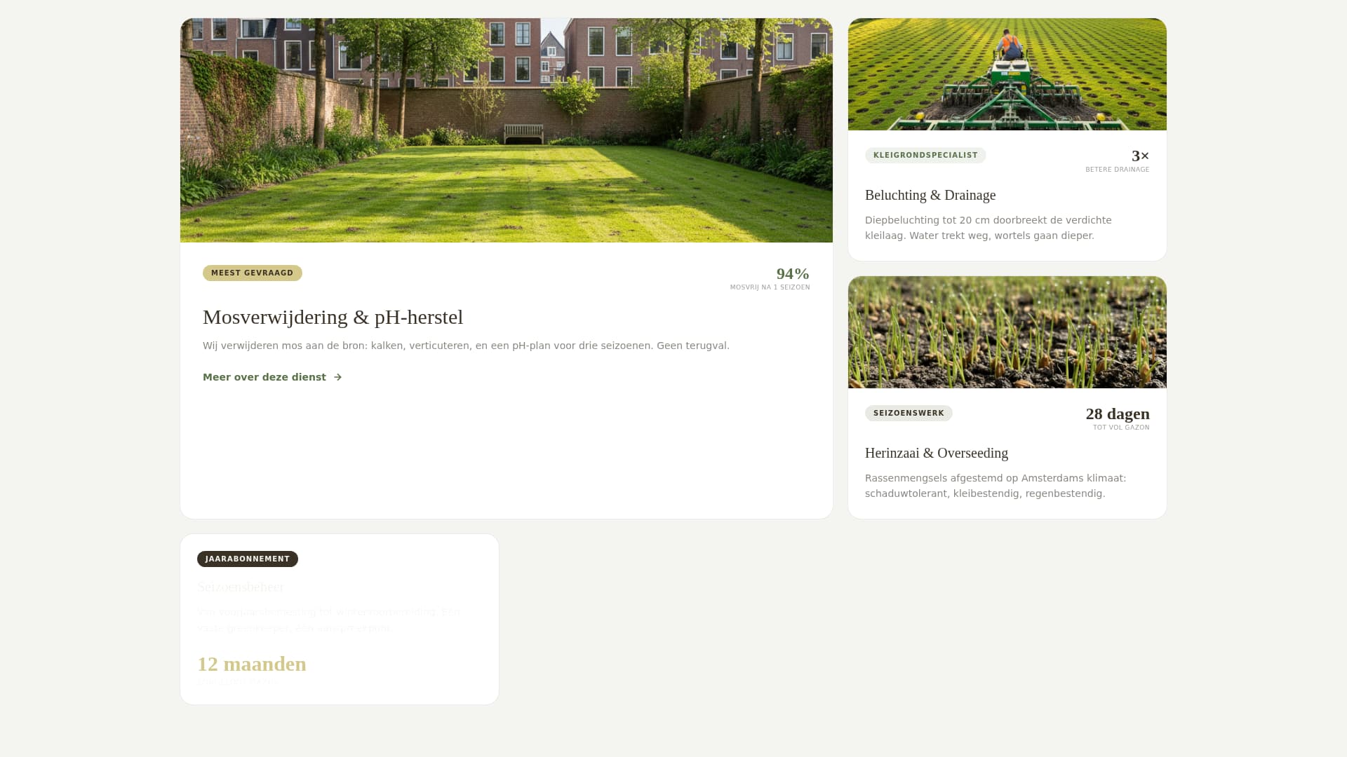 Local Business Expert Booking Website Template