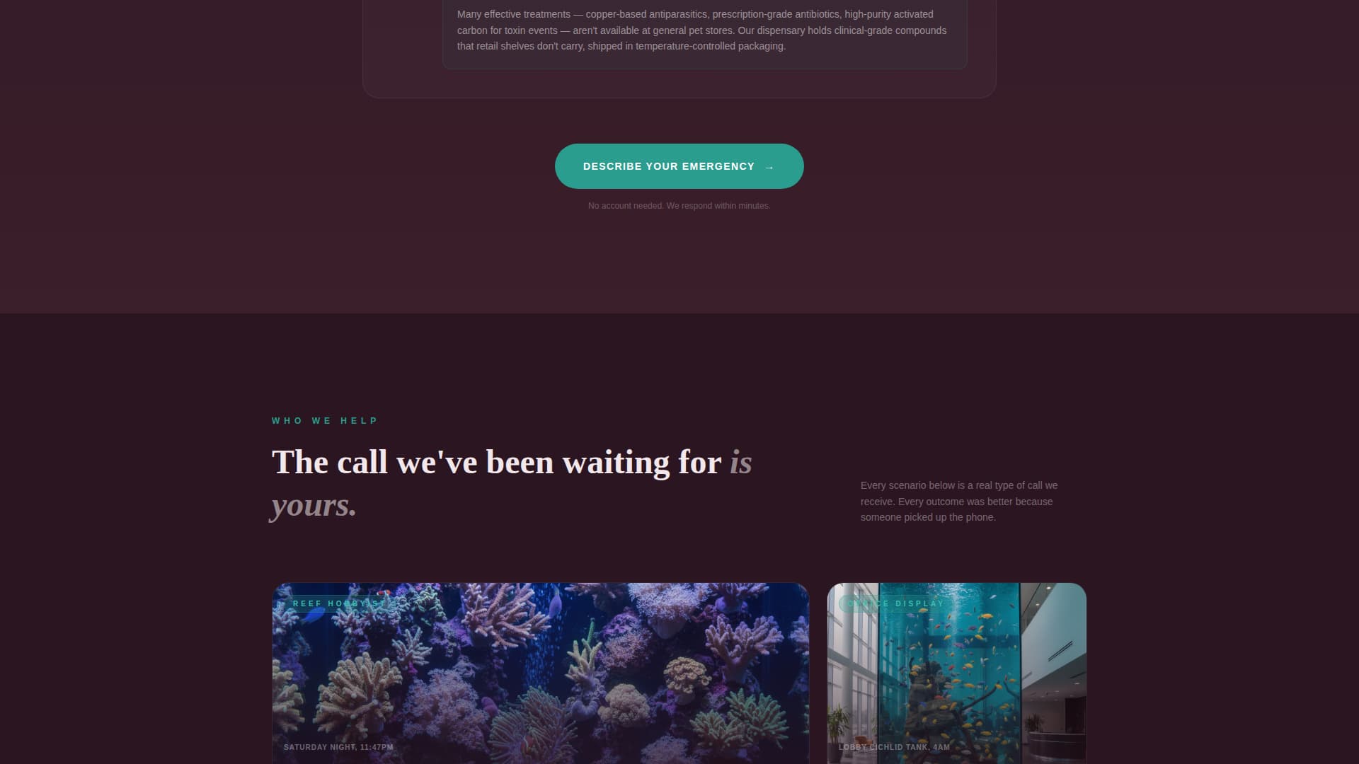 Triage - Emergency Aquarium Landing Page Template