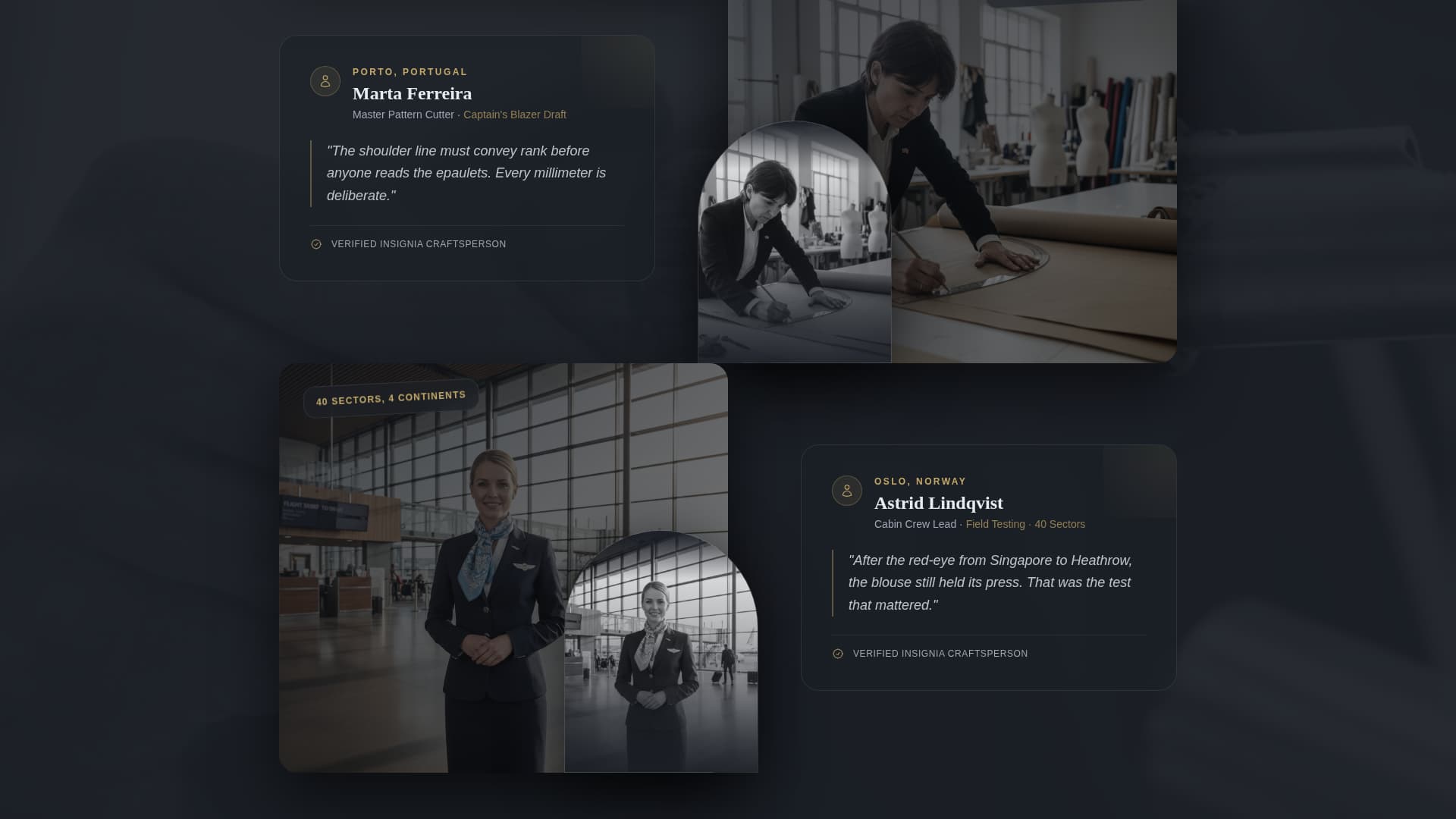 Insignia - Precision Aviation Landing Page Template