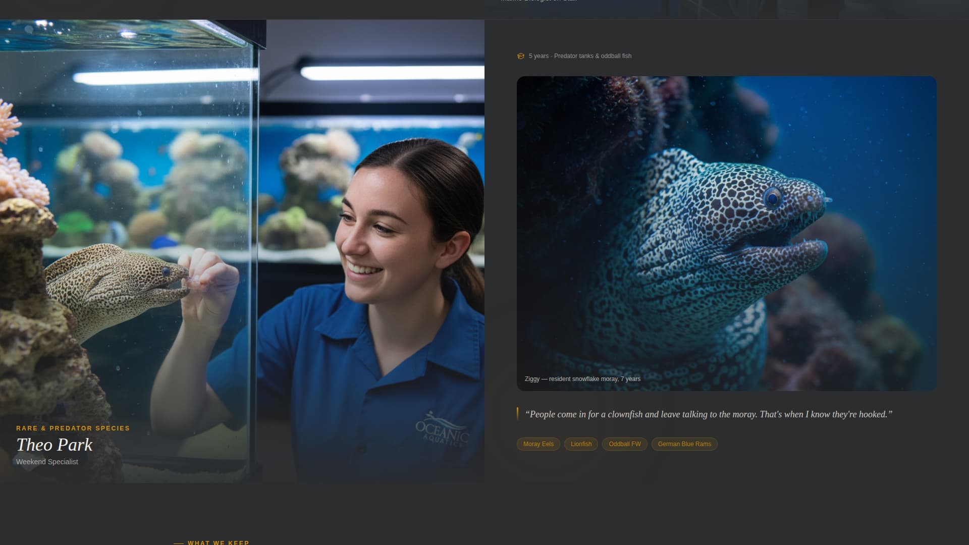Reef - Trusted Aquariumstore Landing Page Template