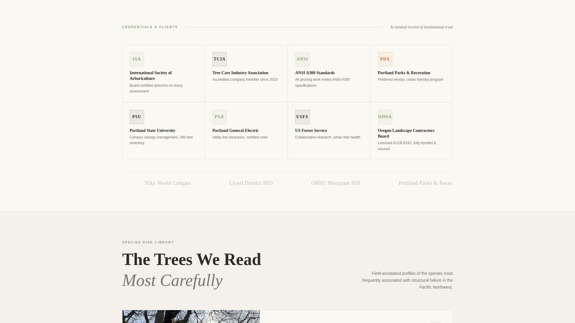 Canopy - Authoritative Arborist Landing Page Template