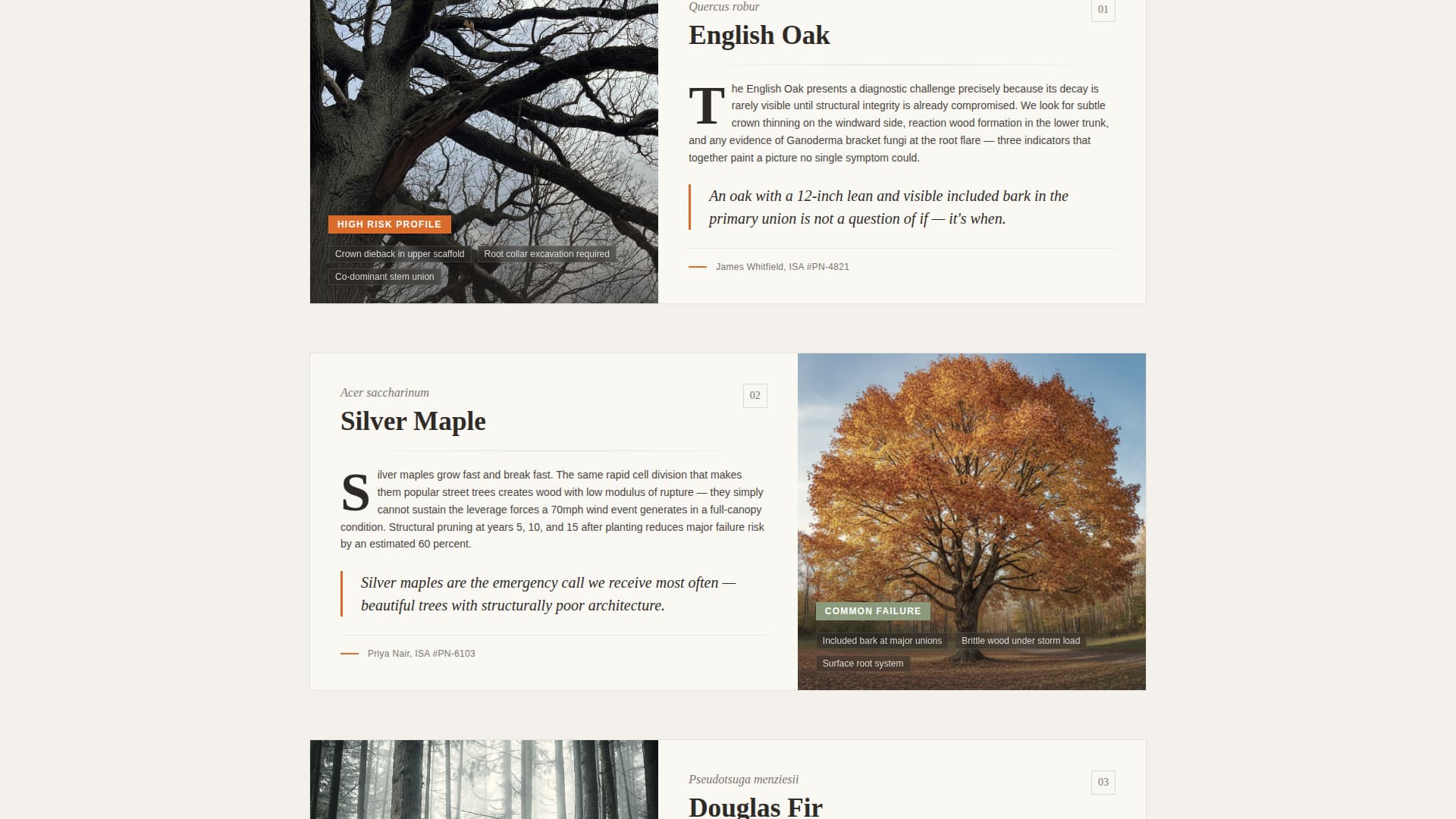 Canopy - Authoritative Arborist Landing Page Template