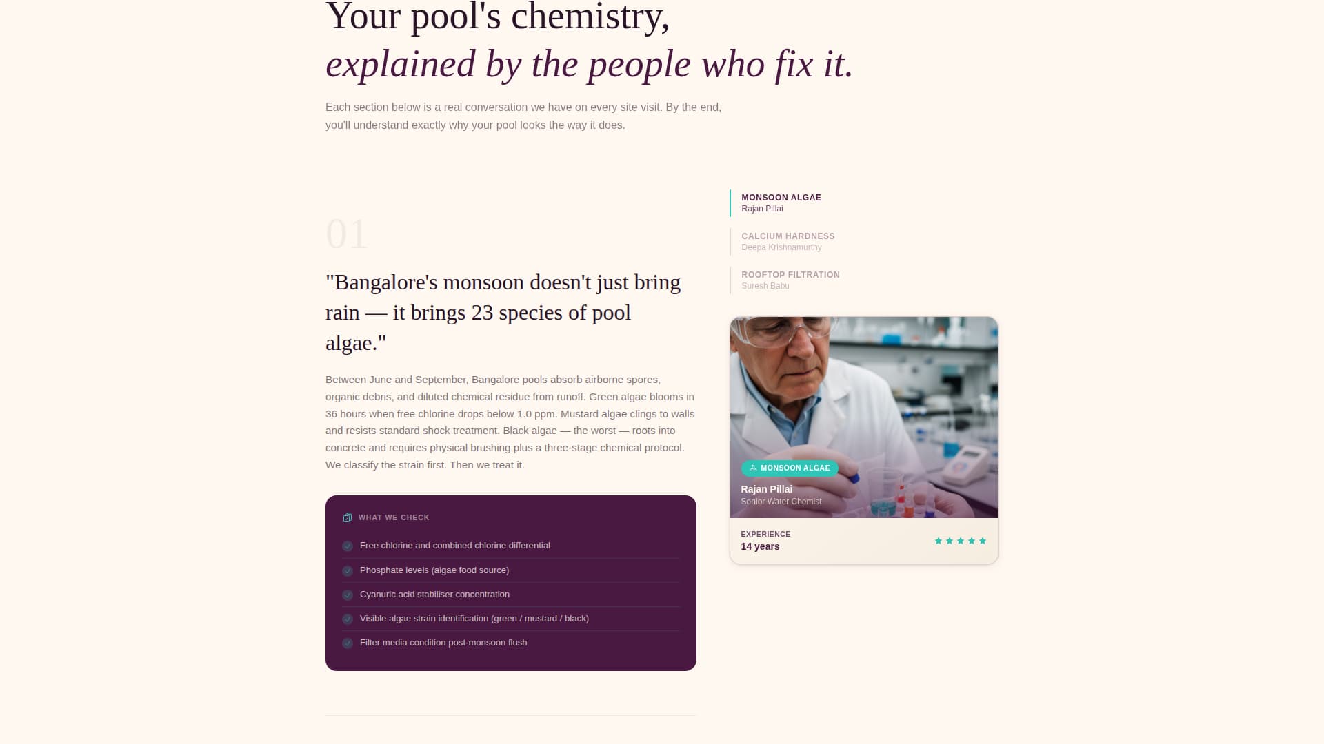 Chlorine - Certified Poolcleaning Landing Page Template