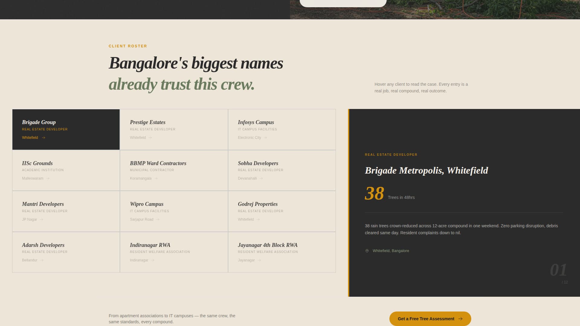 Canopy - Authoritative Treeservice Landing Page Template