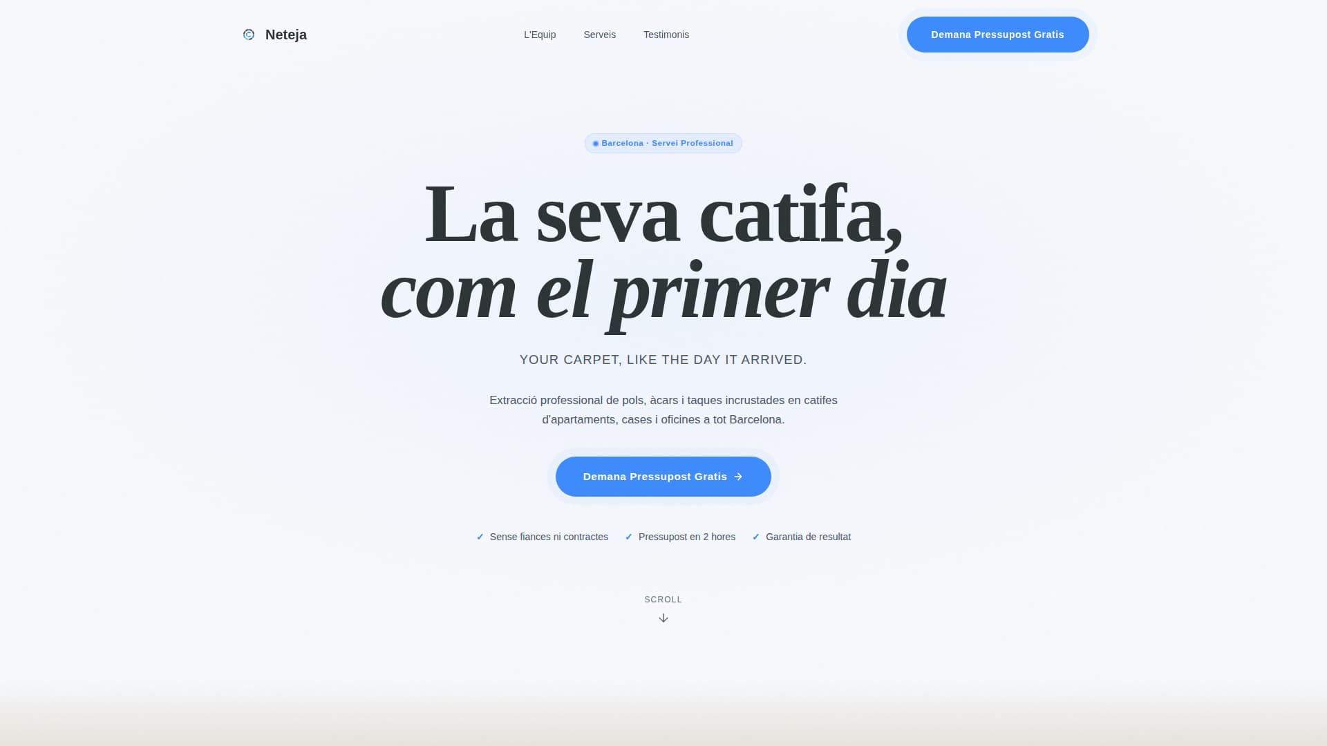 Neteja - Trusted Carpetcleaning Landing Page Template