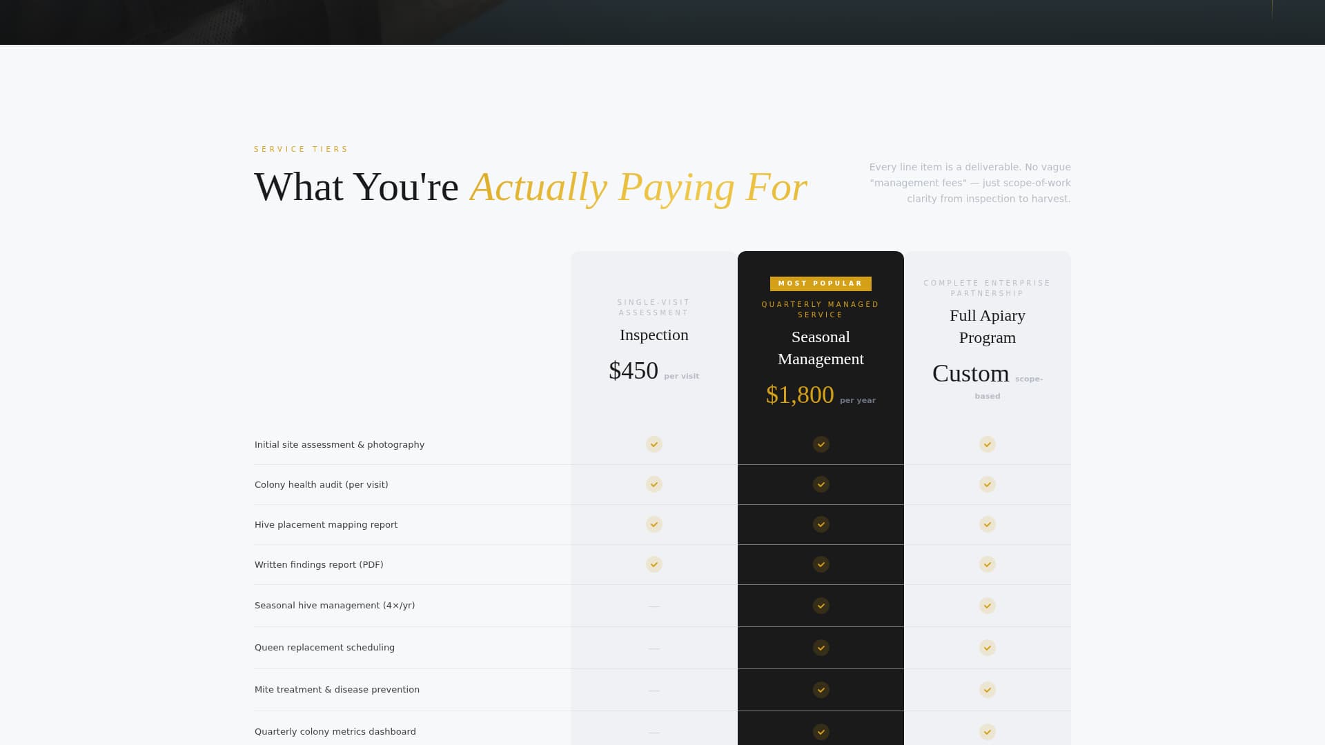 Apiary - Executive Beekeeper Landing Page Template