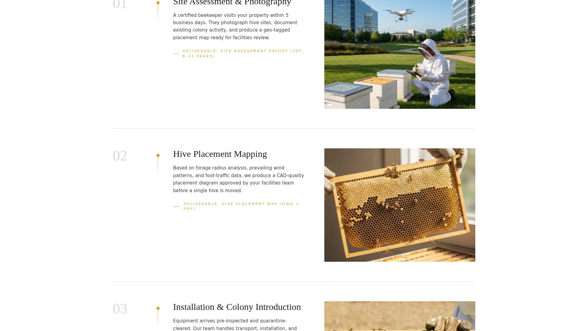 Apiary - Executive Beekeeper Landing Page Template