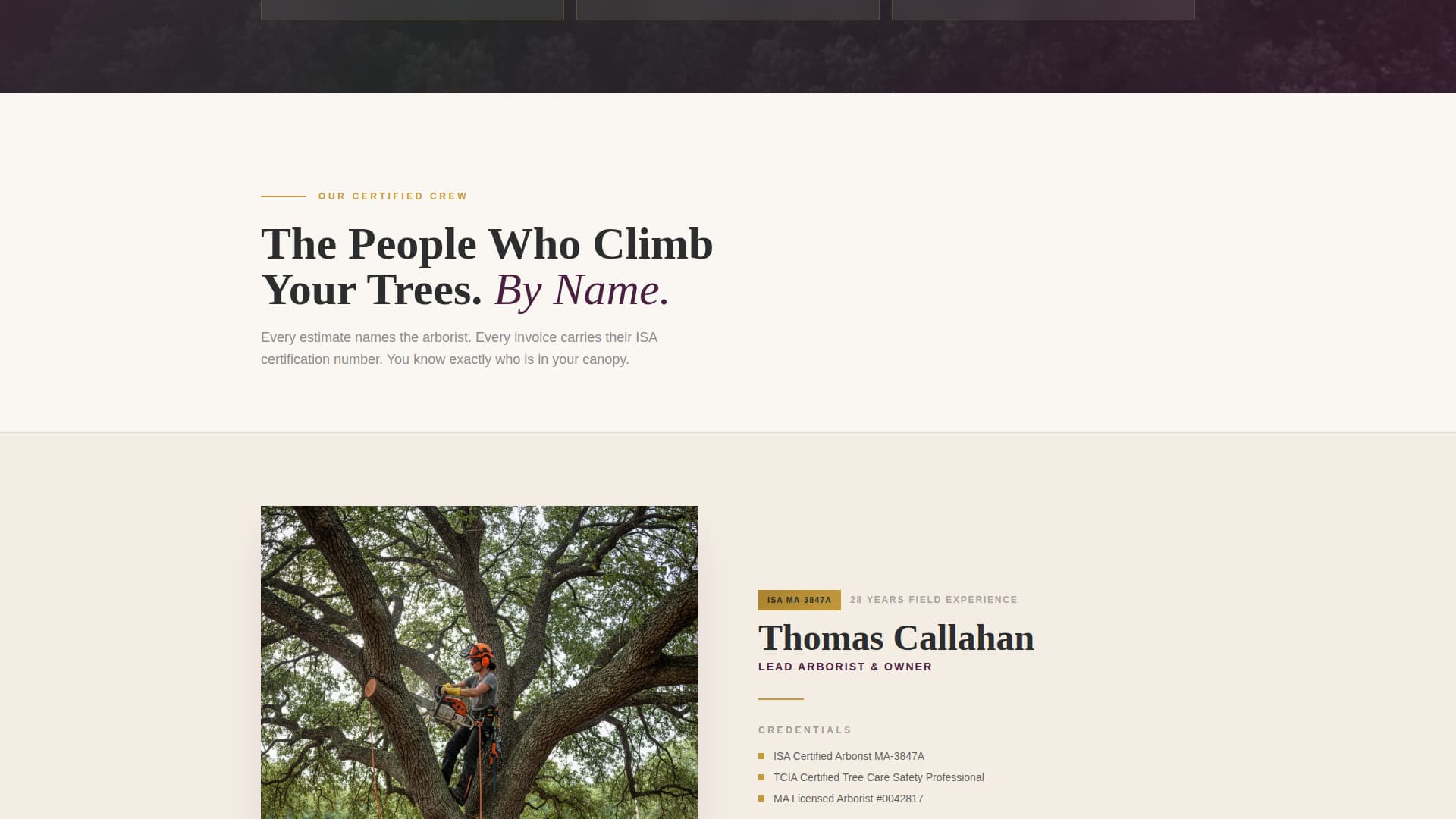 Canopy - Trusted Treeservice Landing Page Template