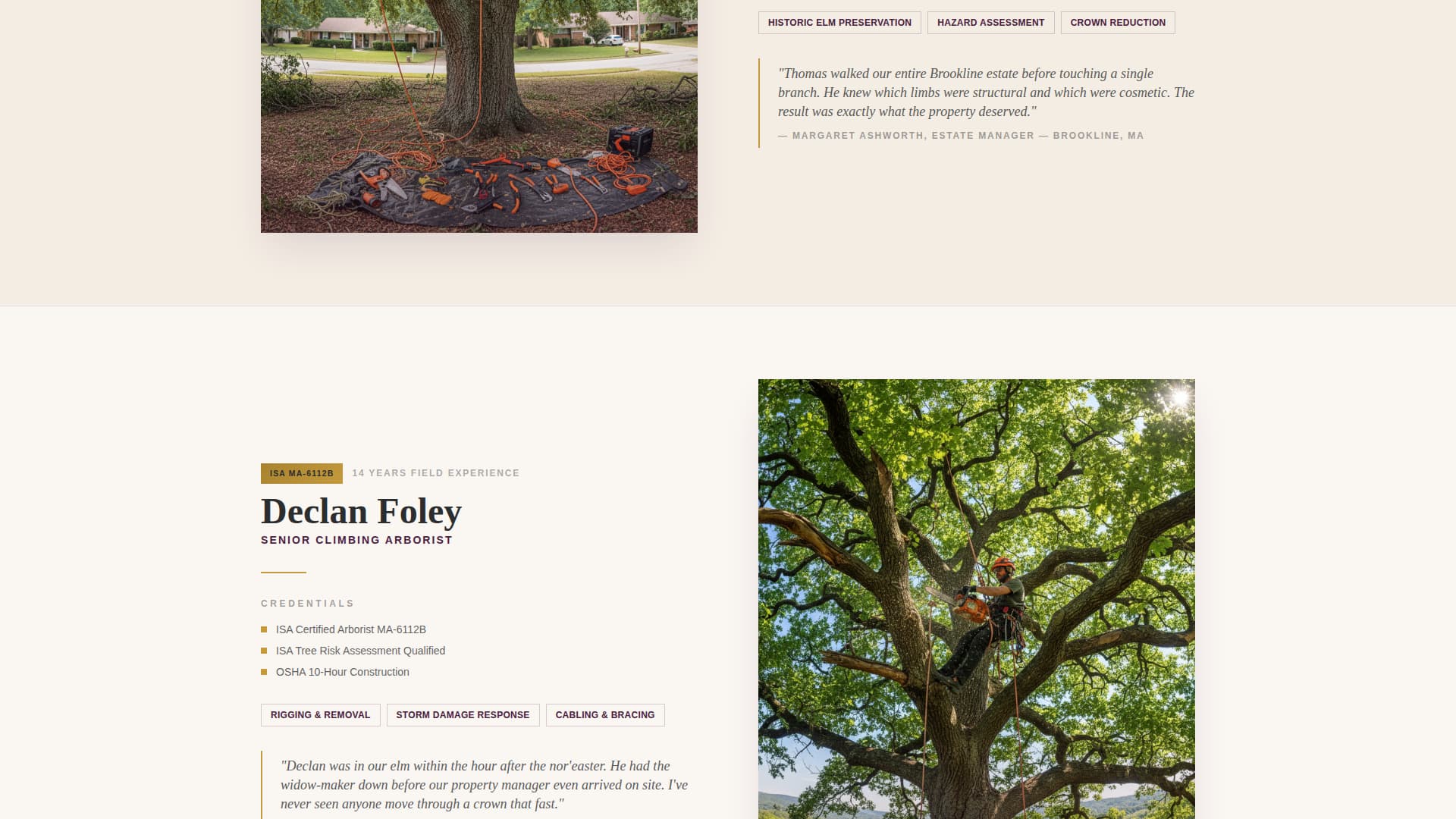 Canopy - Trusted Treeservice Landing Page Template
