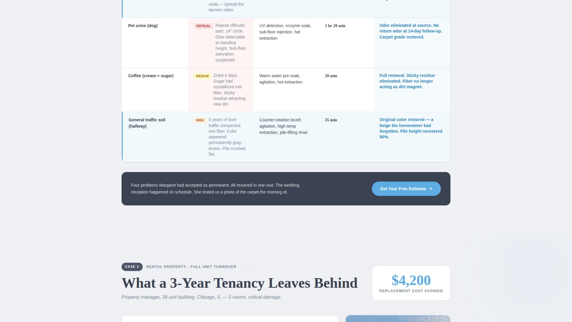 Carpet Cleaner Marketing Specialist Booking Website Template