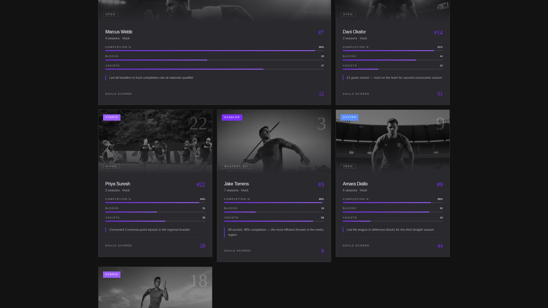 Ultimate Frisbee Professional Website Template