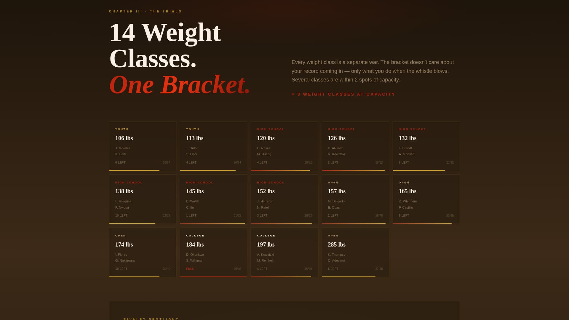 Pin — Dominant Grappling Sports Landing Page Template
