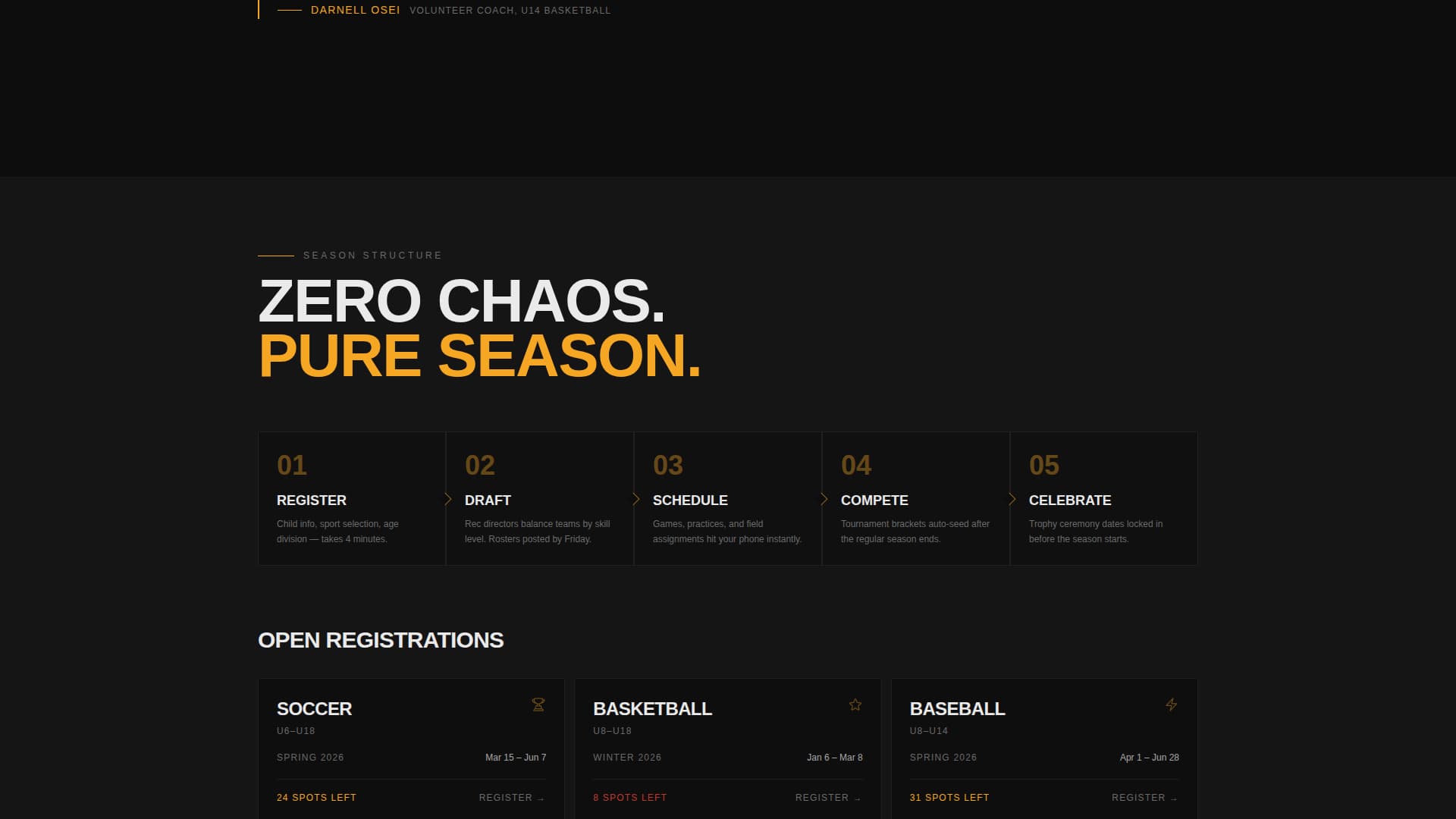 Whistle - Electric Youthsports Landing Page Template