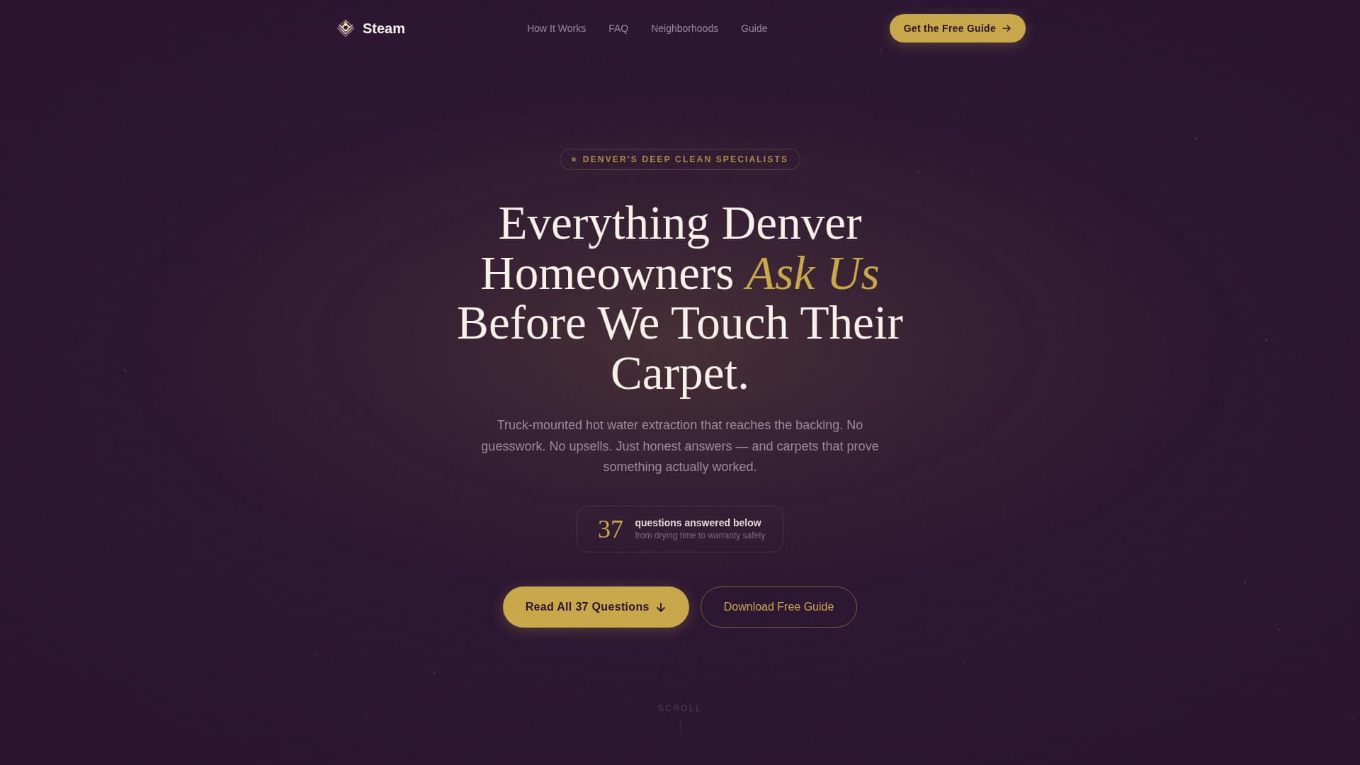 Steam - Authoritative Carpet Landing Page Template
