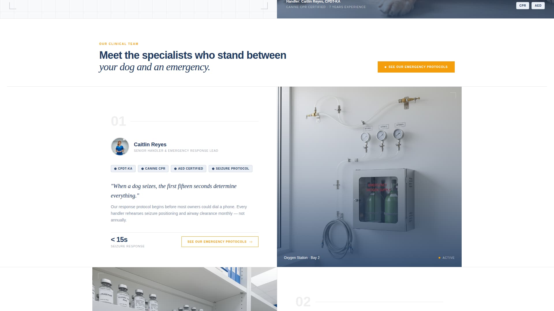 Triage - Precision Veterinary Landing Page Template