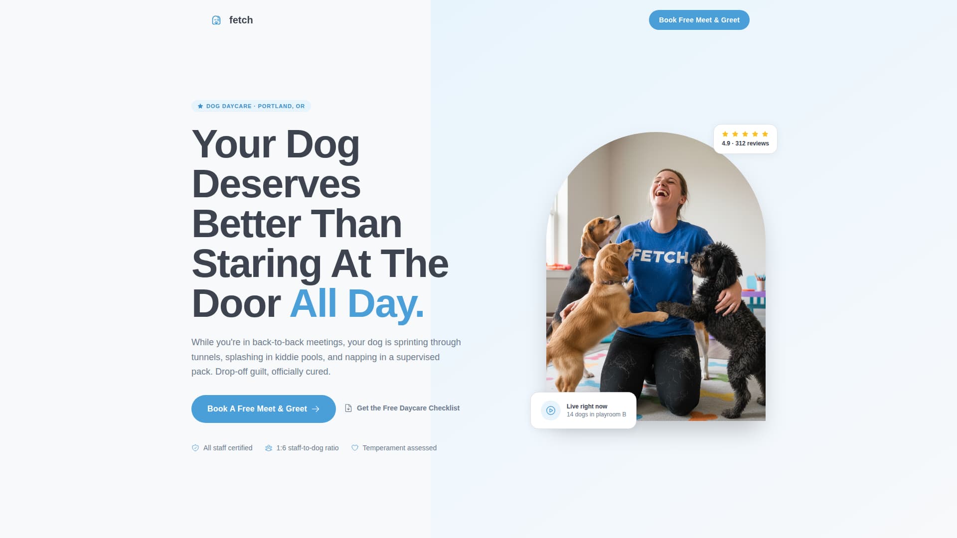 Fetch - Trusted Dogdaycare Landing Page Template