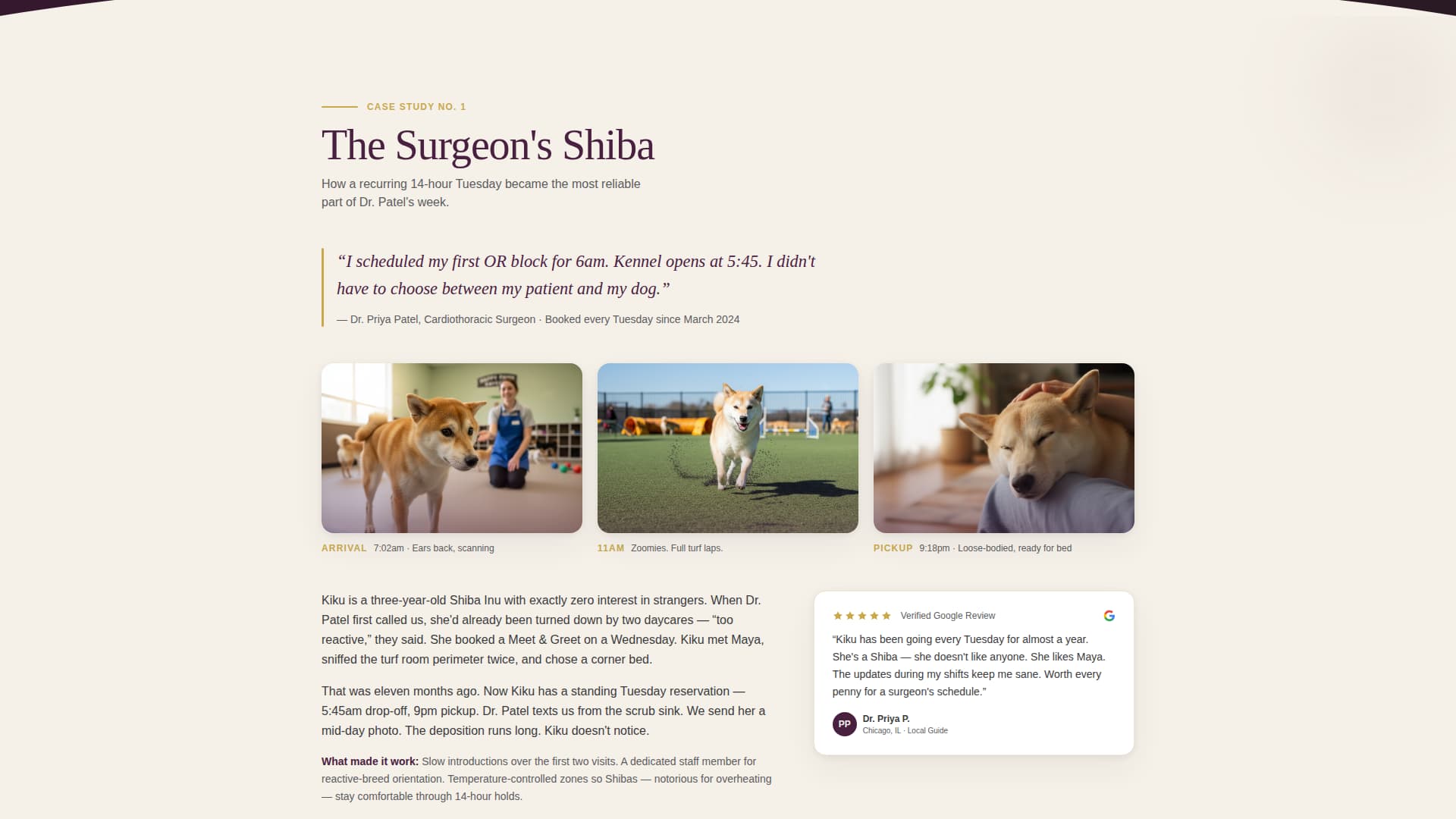 Kennel - Trusted Dogdaycare Landing Page Template