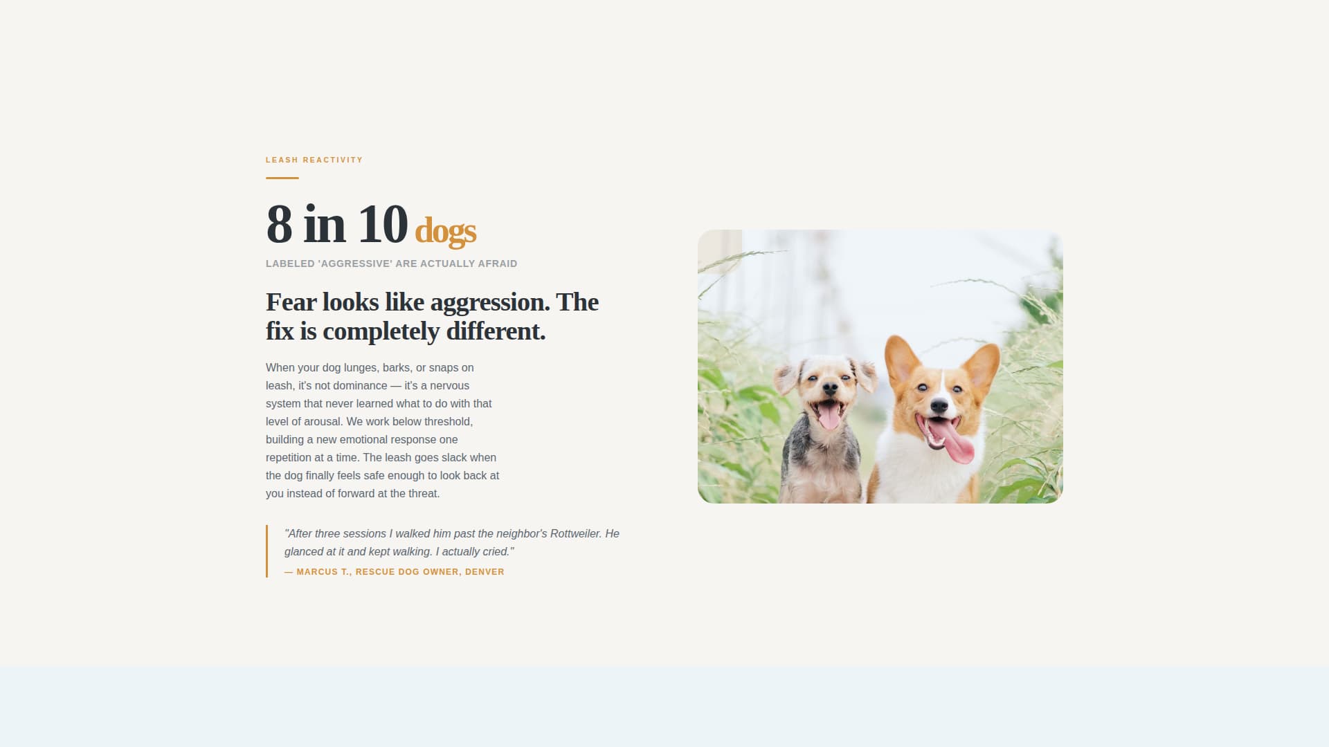 Reactive - Trusted Dogtrainer Landing Page Template