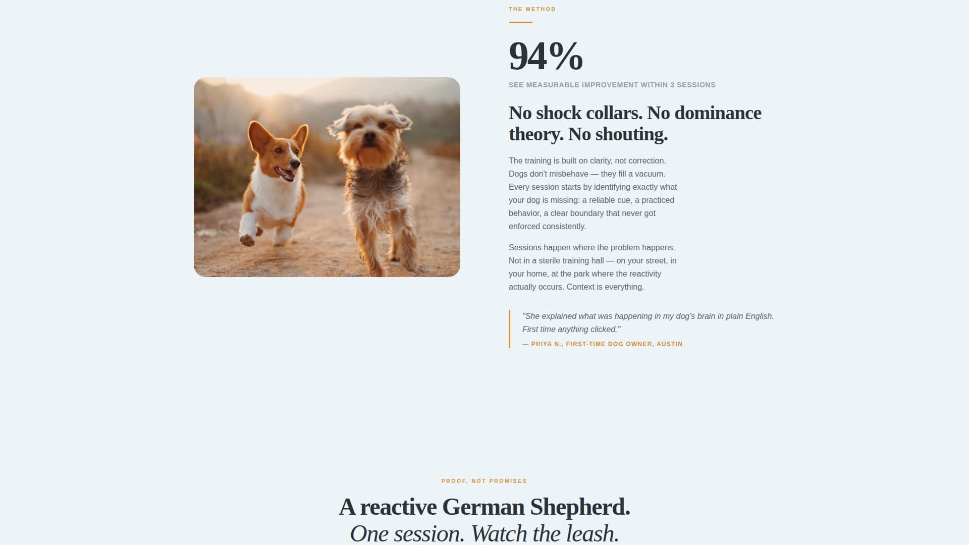 Reactive - Trusted Dogtrainer Landing Page Template