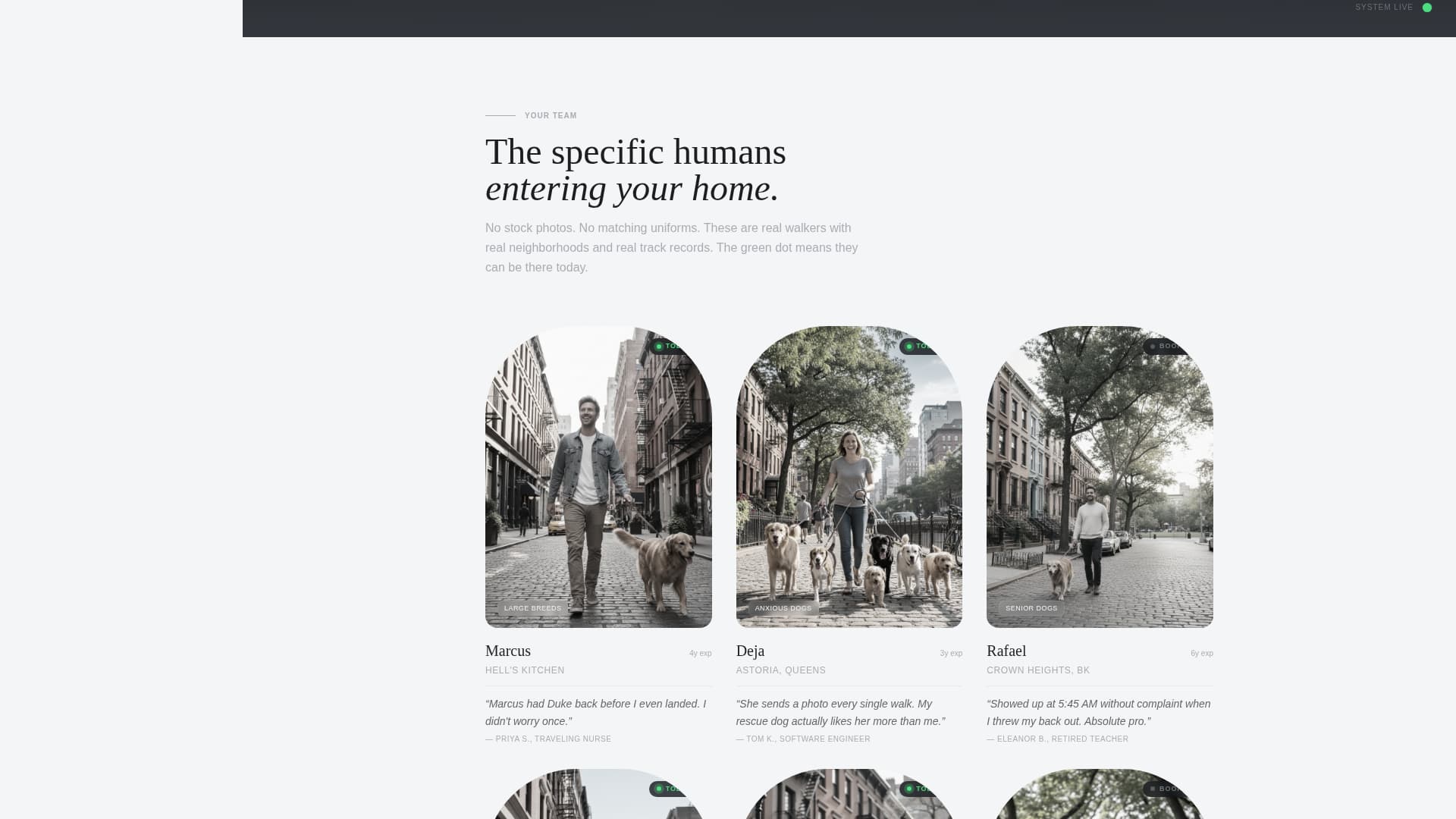Leash - Reliable Dogwalker Landing Page Template