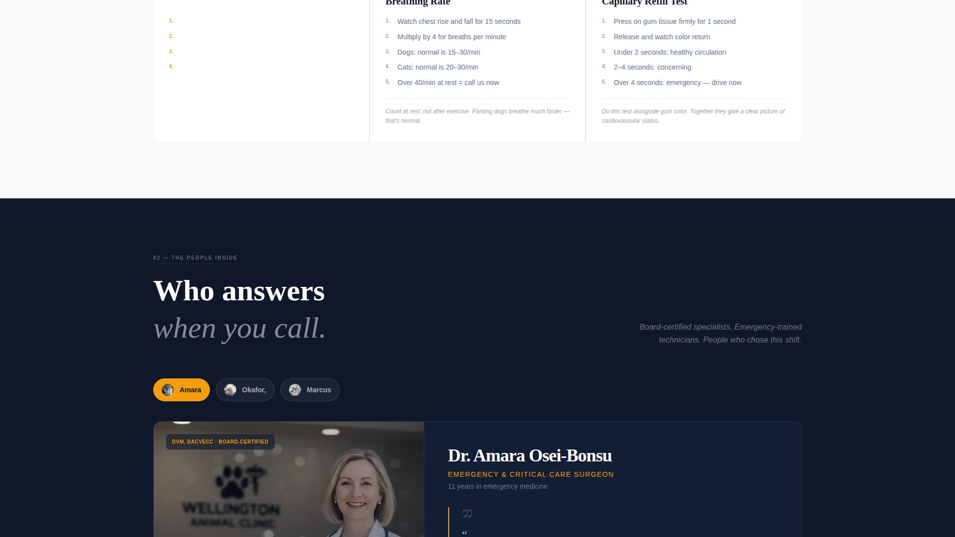 Care — 24/7 Emergency Vet Clinic Landing Page Template