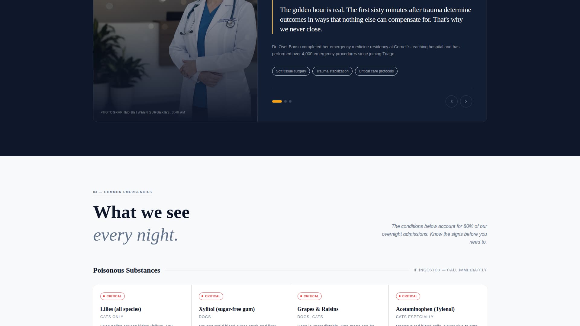 Care — 24/7 Emergency Vet Clinic Landing Page Template