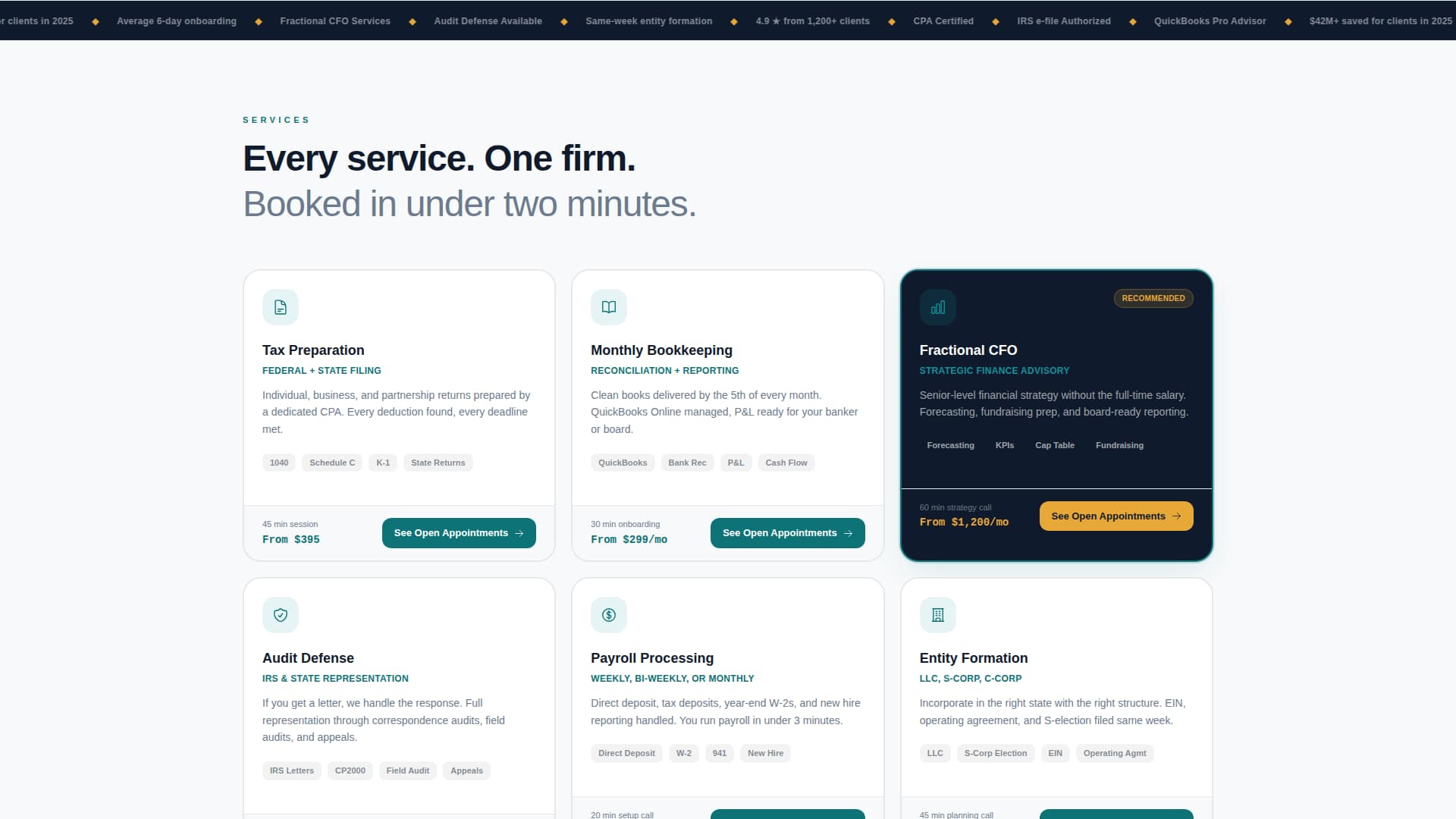 Accounting Firm Software Specialist Booking Website Template