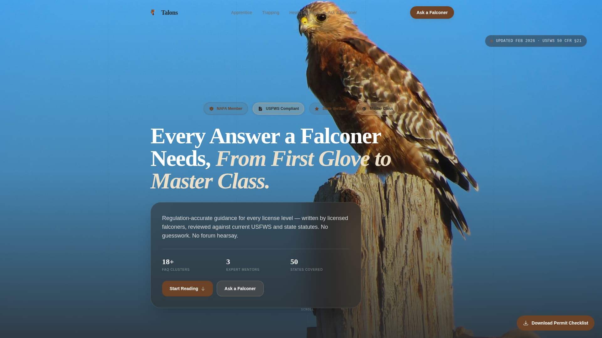 Falconer FAQ Website Template