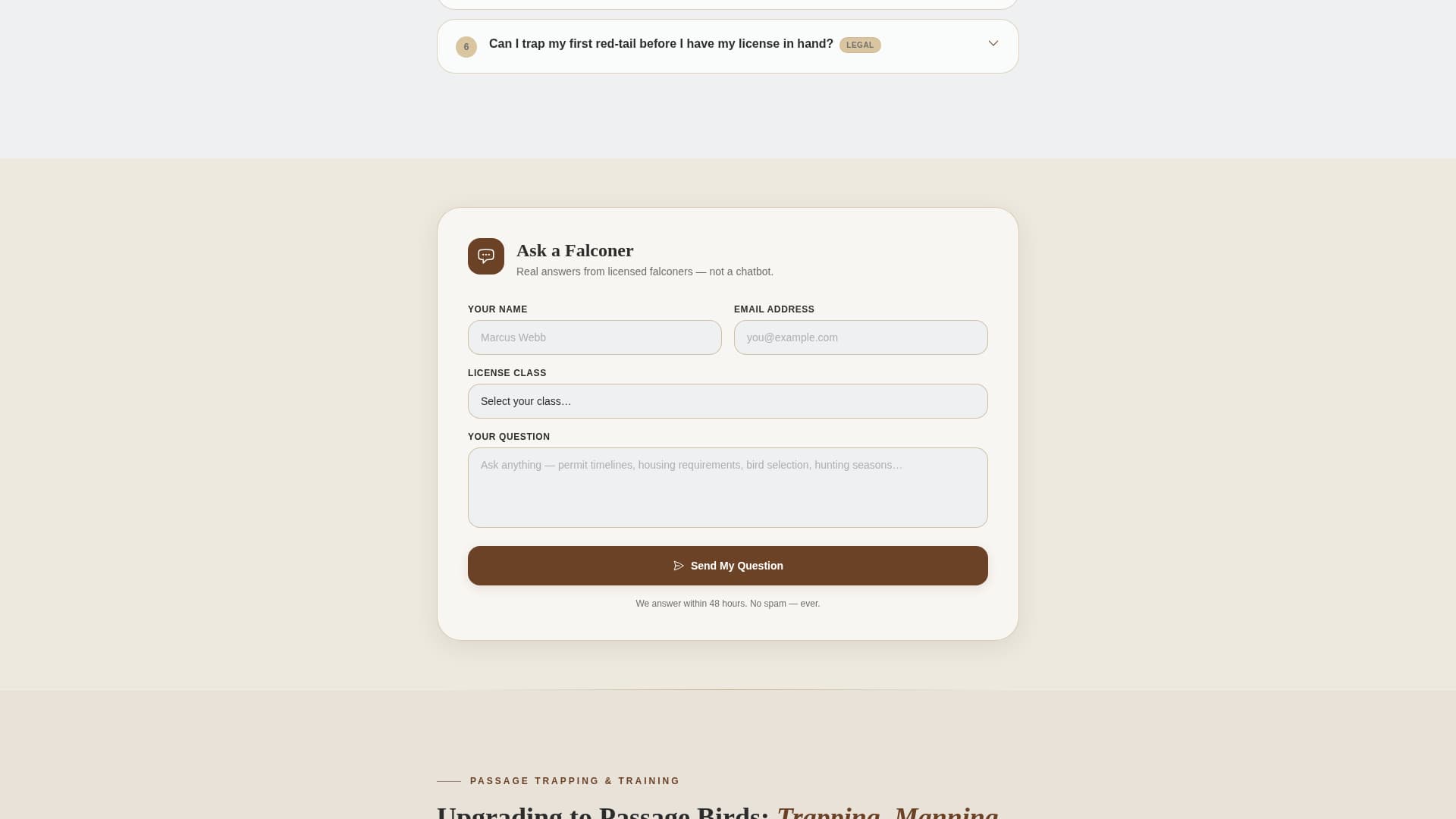Falconer FAQ Website Template