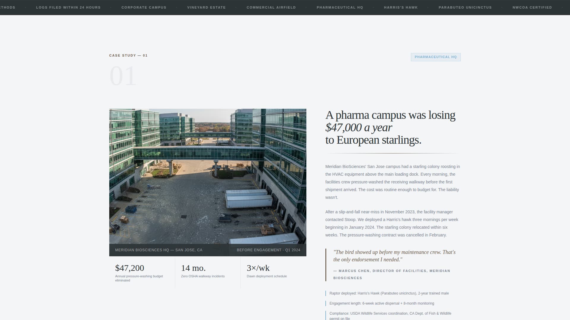 Falconer Directory Website Template