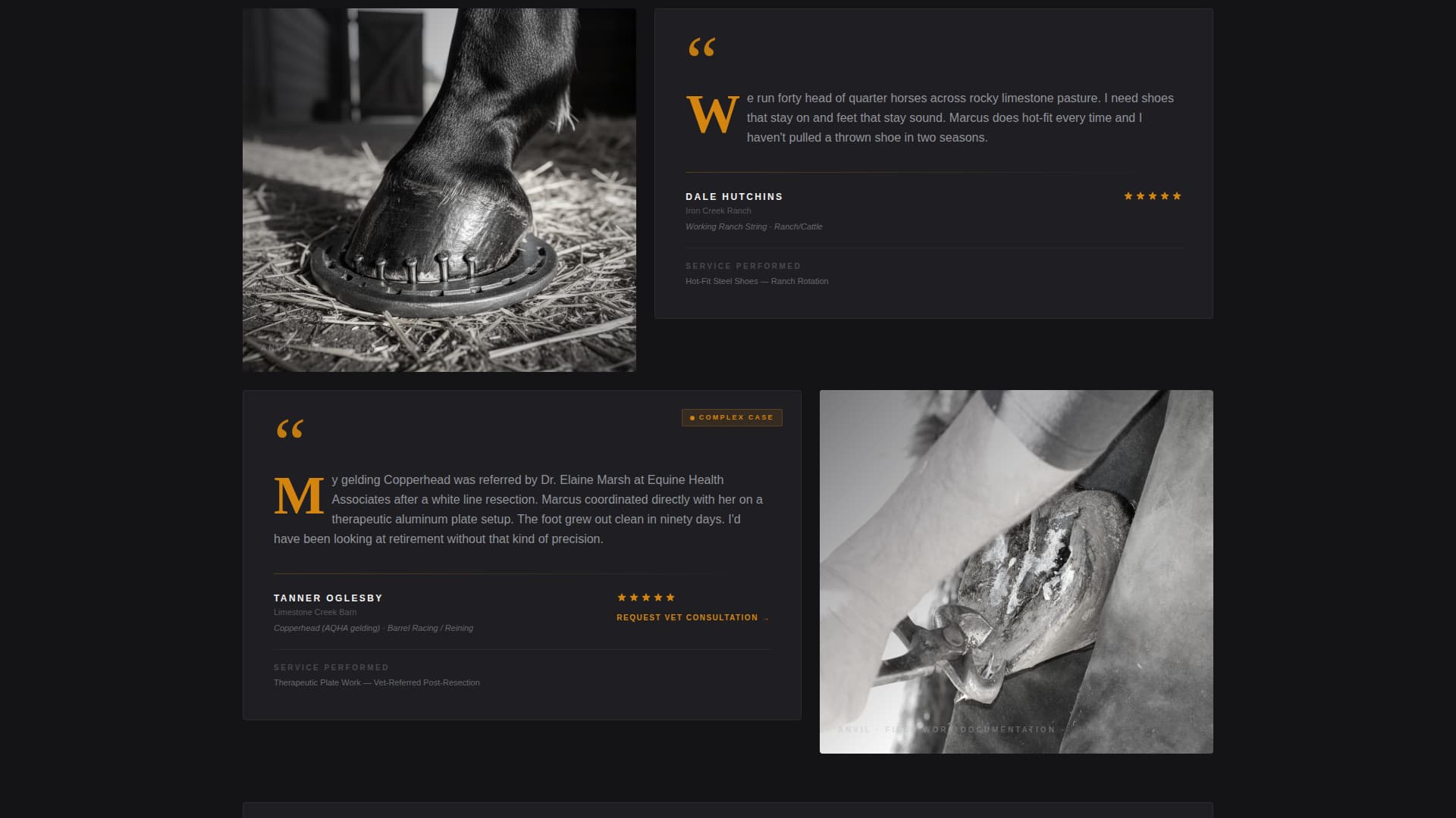 Forge — Skilled Farrier Services Landing Page Template