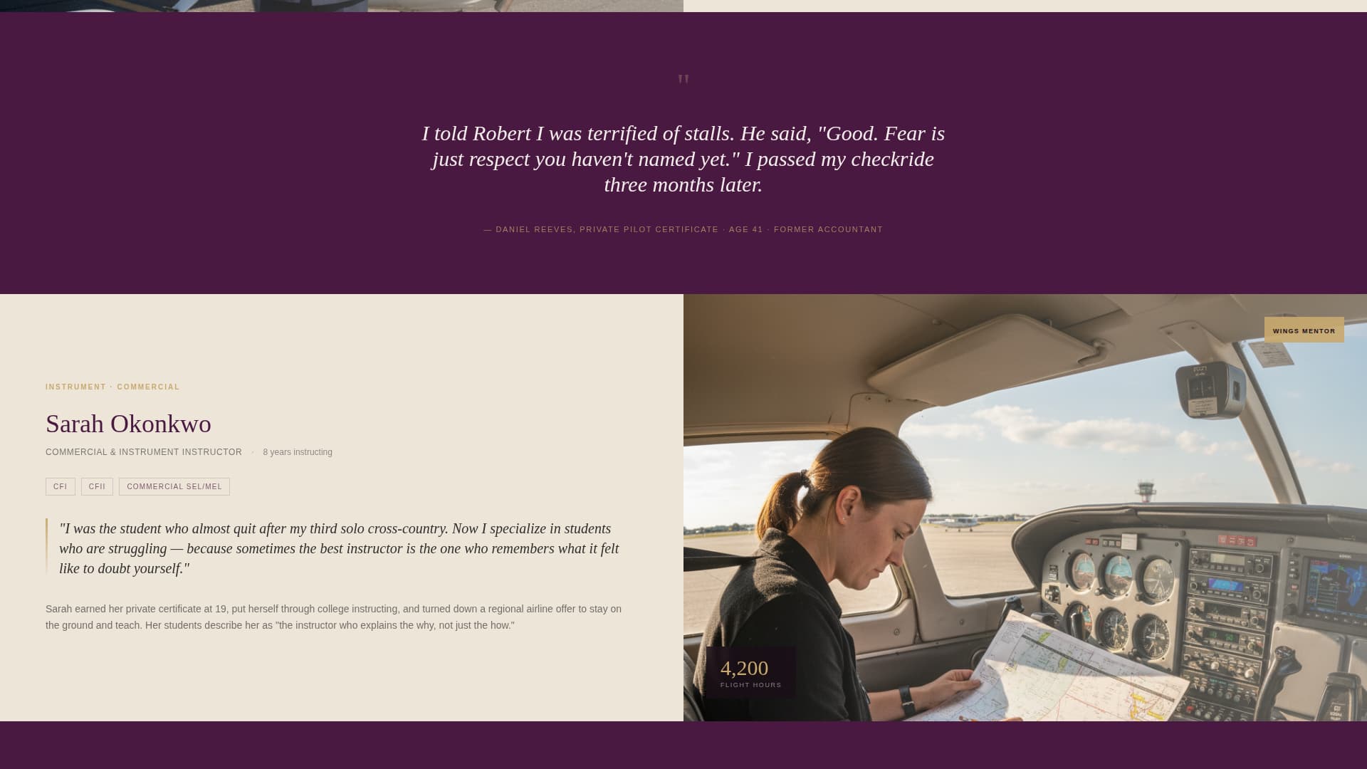 Flight School Marketing Reviews Website Template
