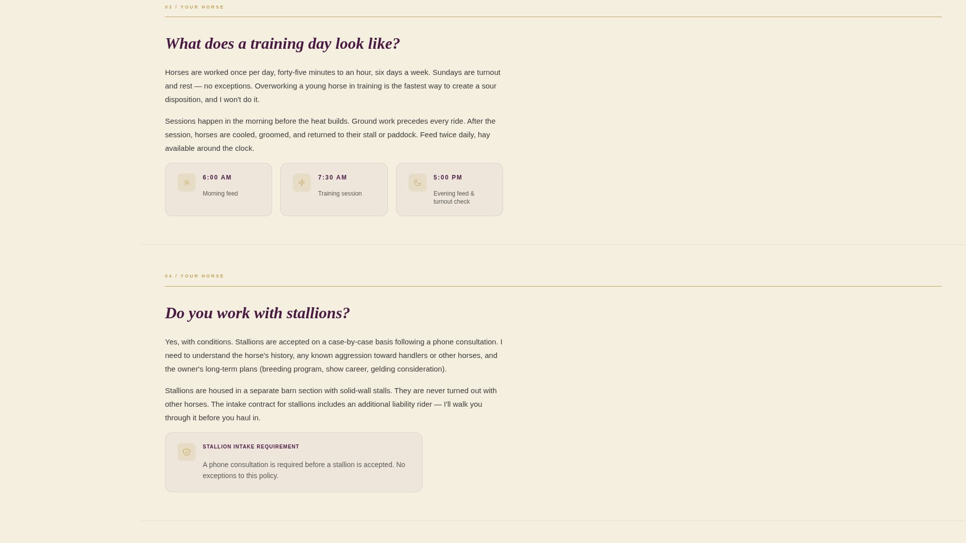 Bridle - Authoritative Trainer Landing Page Template
