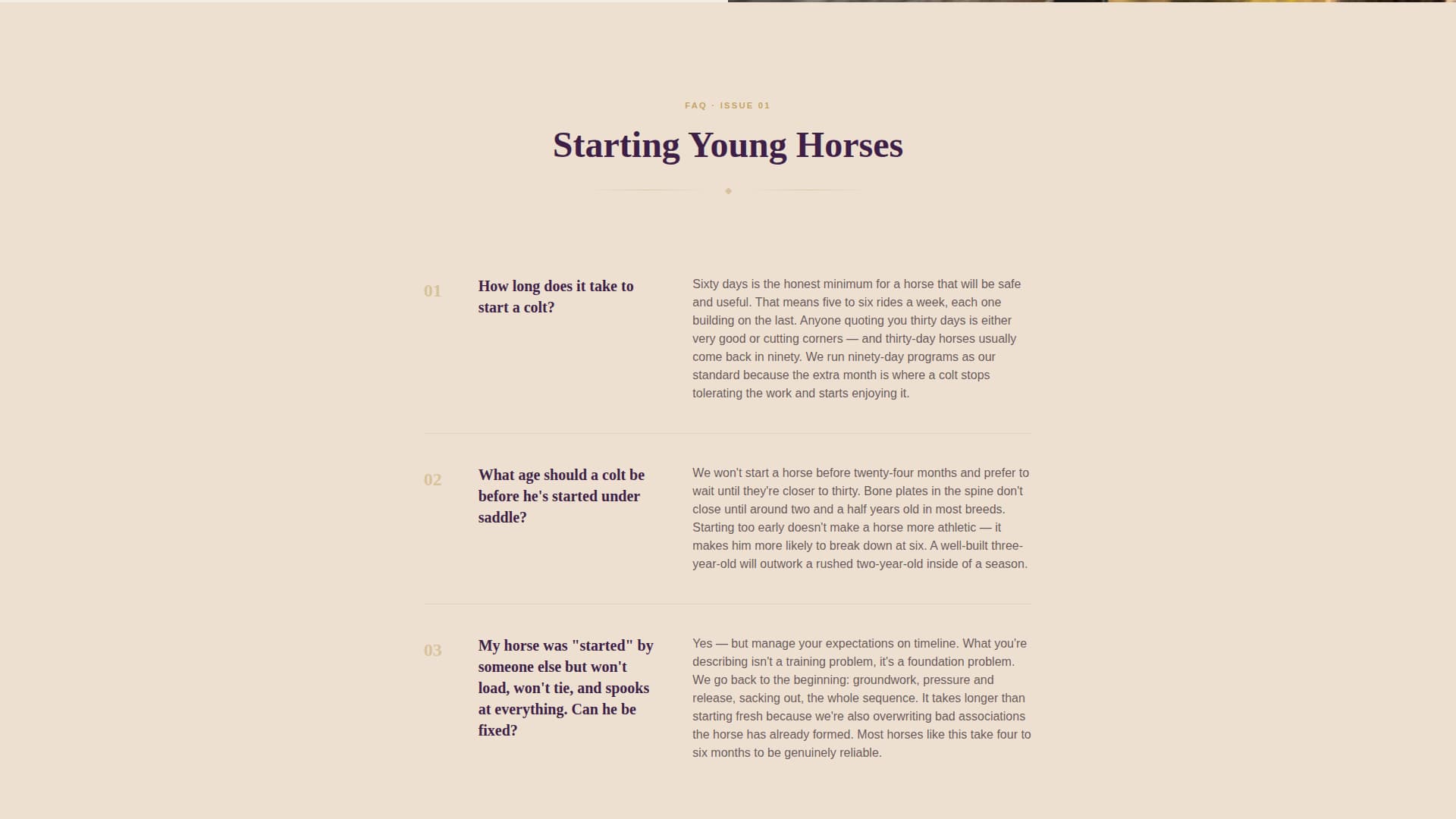 Bridle - Authoritative Equestrian Landing Page Template